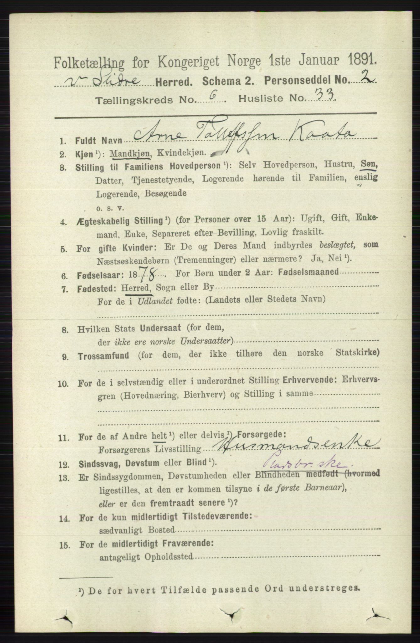 RA, 1891 census for 0543 Vestre Slidre, 1891, p. 2265