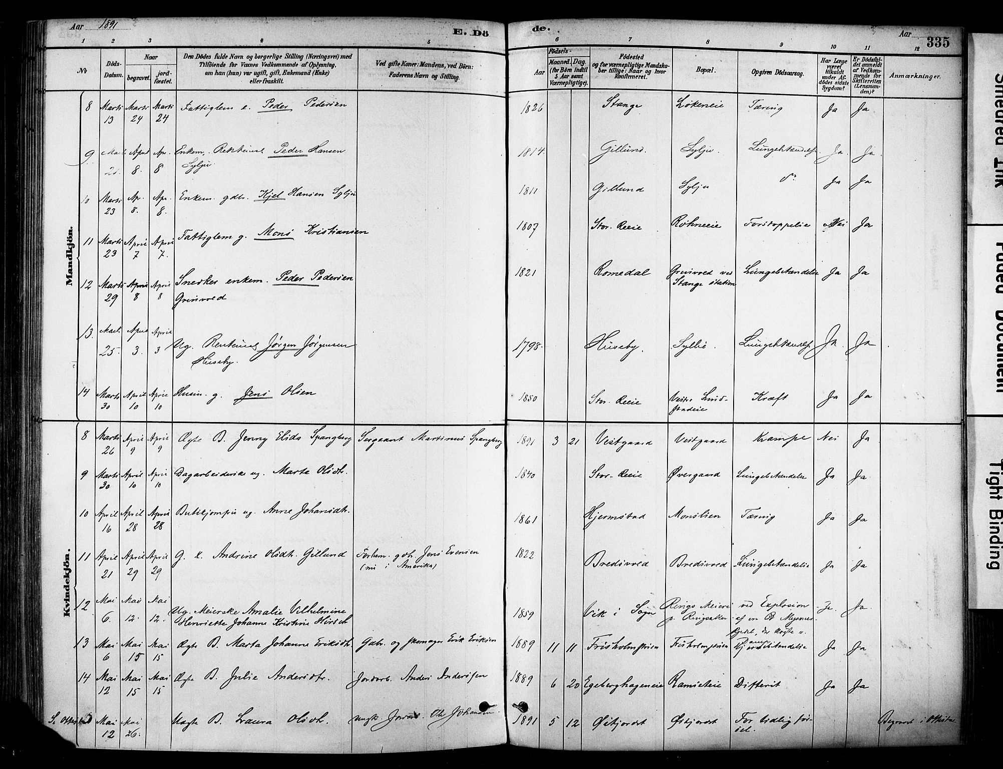 Stange prestekontor, AV/SAH-PREST-002/K/L0017: Parish register (official) no. 17, 1880-1893, p. 335