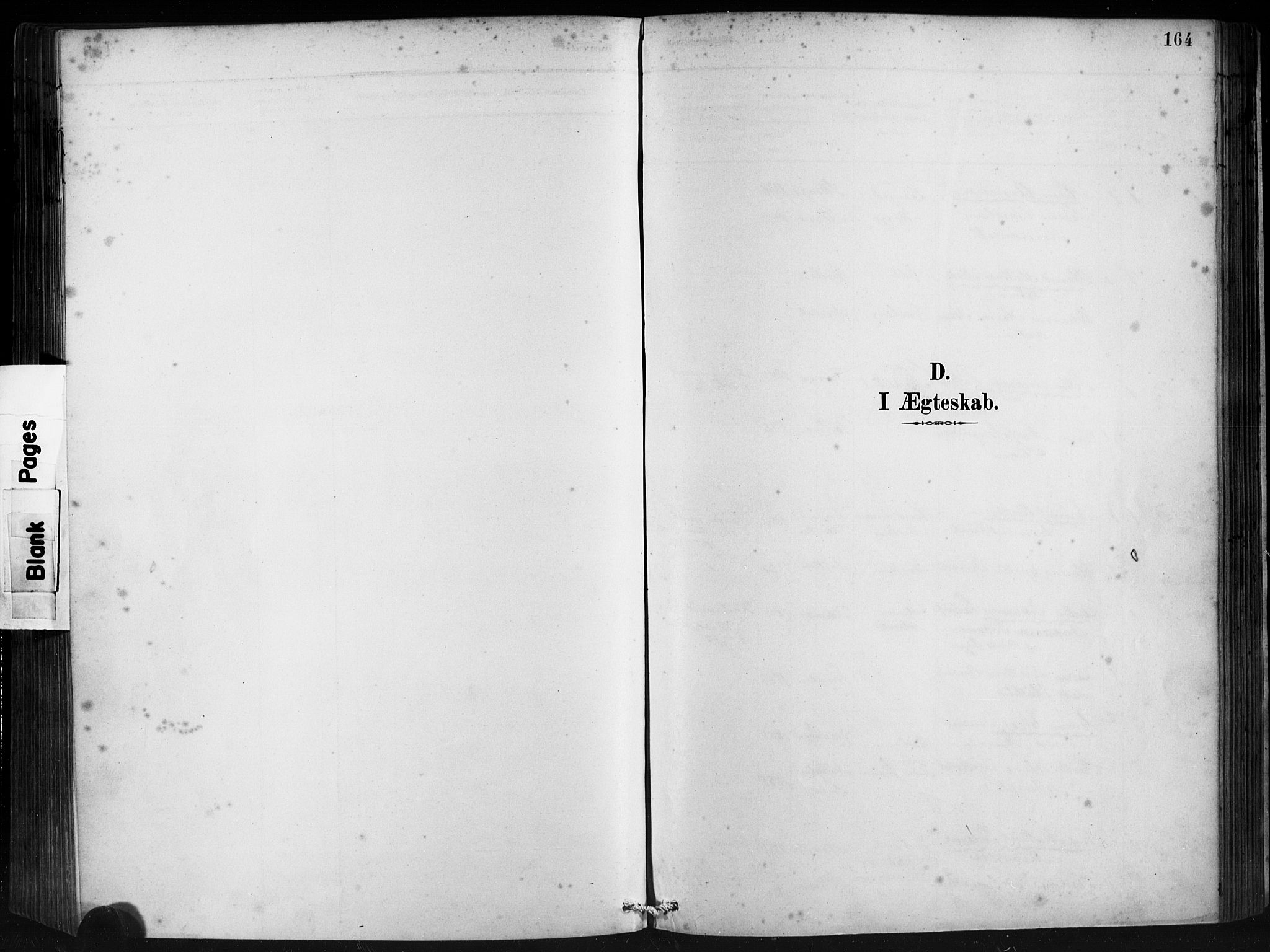 Ministerialprotokoller, klokkerbøker og fødselsregistre - Møre og Romsdal, SAT/A-1454/501/L0008: Parish register (official) no. 501A08, 1885-1901, p. 164