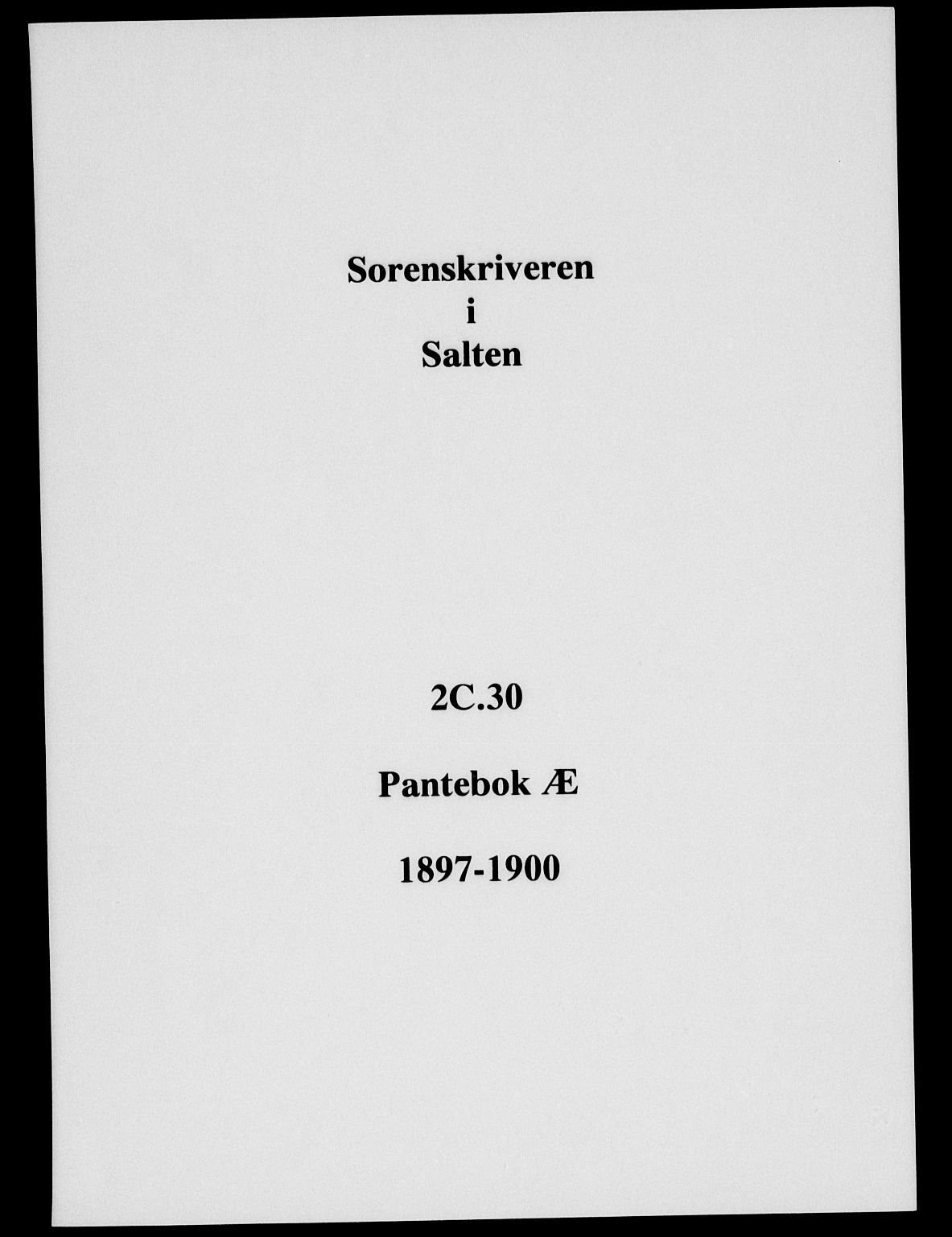 Salten sorenskriveri, SAT/A-4578/1/2/2C/L0030: Mortgage book no. Æ, 1897-1900