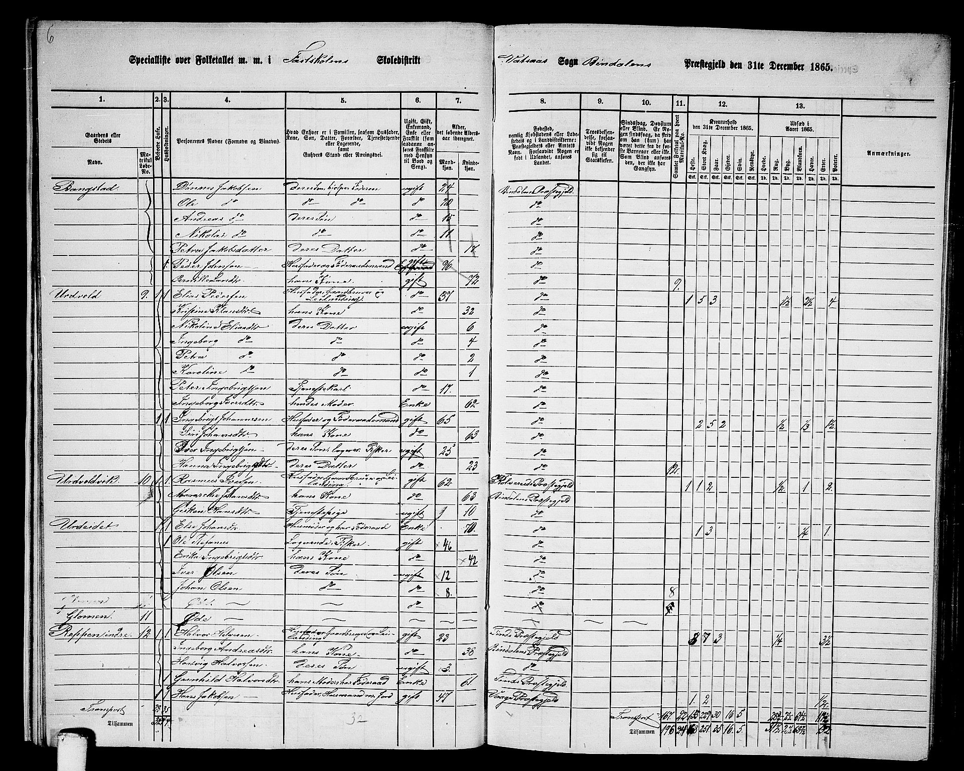 RA, 1865 census for Bindal, 1865, p. 15