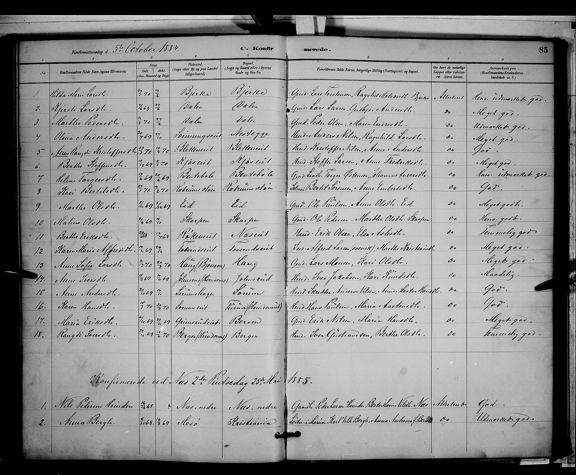 Gran prestekontor, AV/SAH-PREST-112/H/Ha/Hab/L0003: Parish register (copy) no. 3, 1882-1890, p. 85