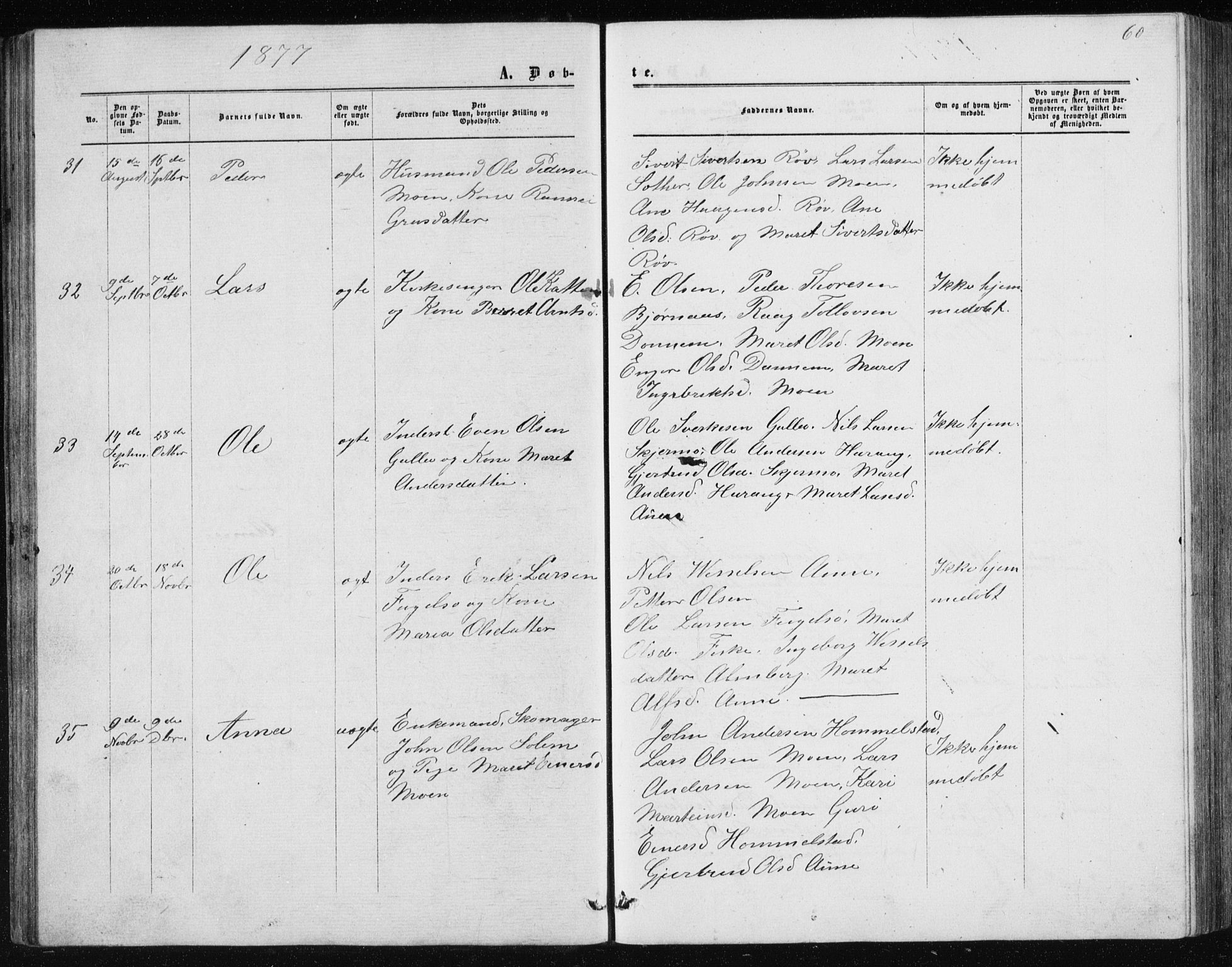 Ministerialprotokoller, klokkerbøker og fødselsregistre - Møre og Romsdal, AV/SAT-A-1454/597/L1064: Parish register (copy) no. 597C01, 1866-1898, p. 60