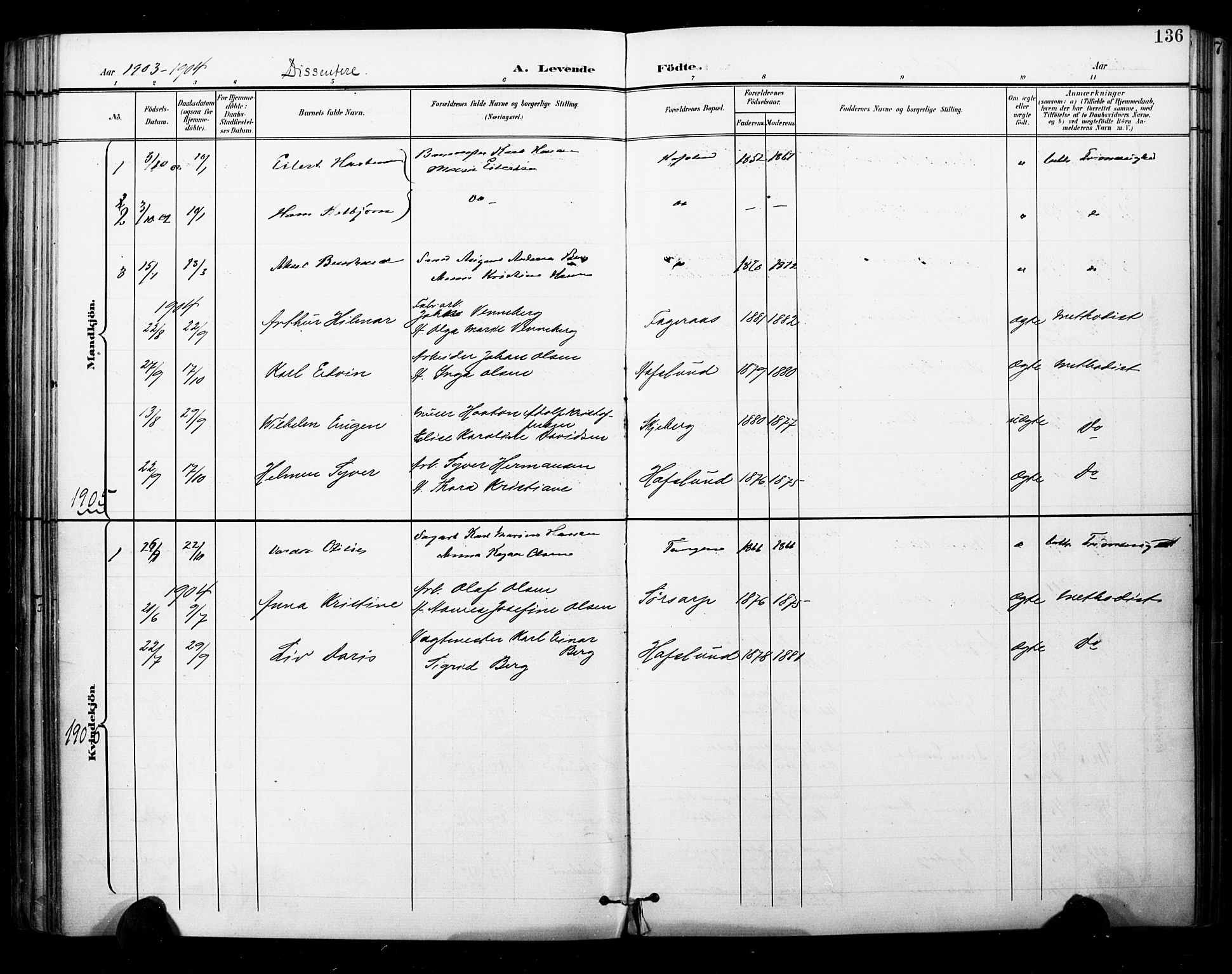 Skjeberg prestekontor Kirkebøker, AV/SAO-A-10923/F/Fa/L0010: Parish register (official) no. I 10, 1898-1911, p. 136