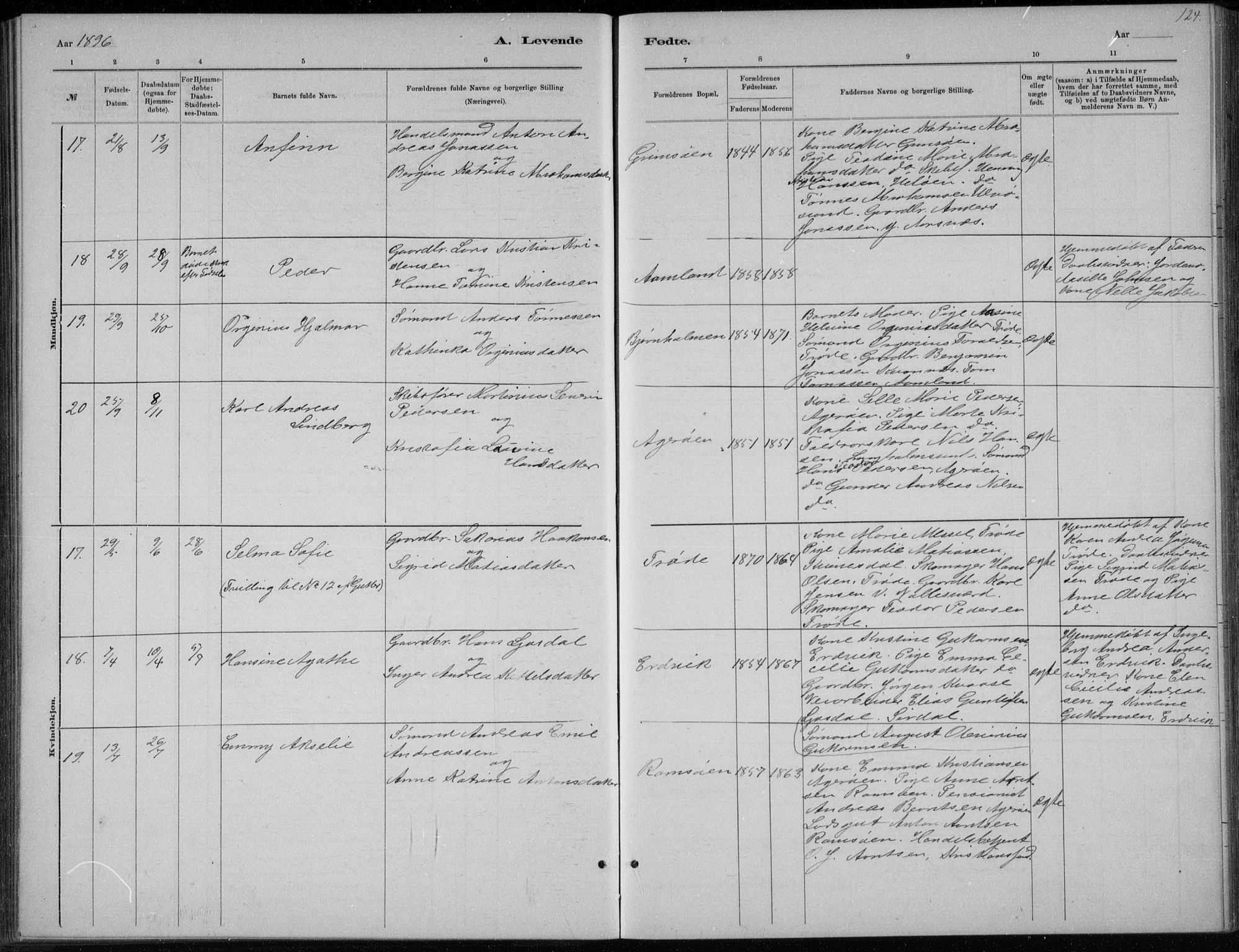 Høvåg sokneprestkontor, AV/SAK-1111-0025/F/Fb/L0004: Parish register (copy) no. B 4, 1883-1898, p. 124