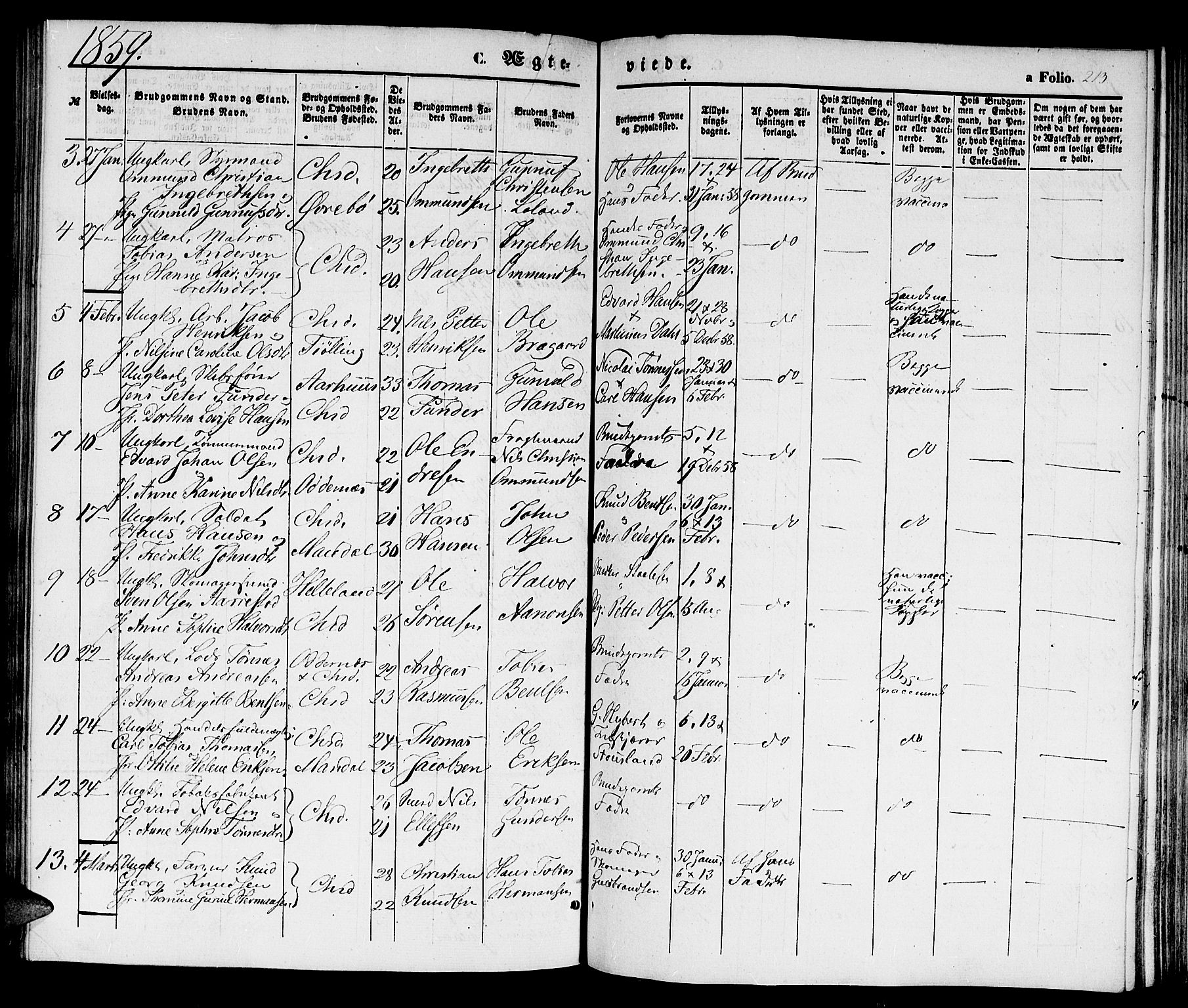 Kristiansand domprosti, SAK/1112-0006/F/Fb/L0011: Parish register (copy) no. B 11, 1851-1861, p. 213