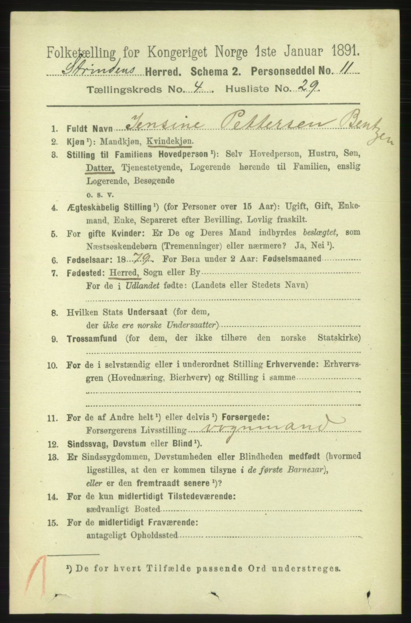 RA, 1891 census for 1660 Strinda, 1891, p. 4141