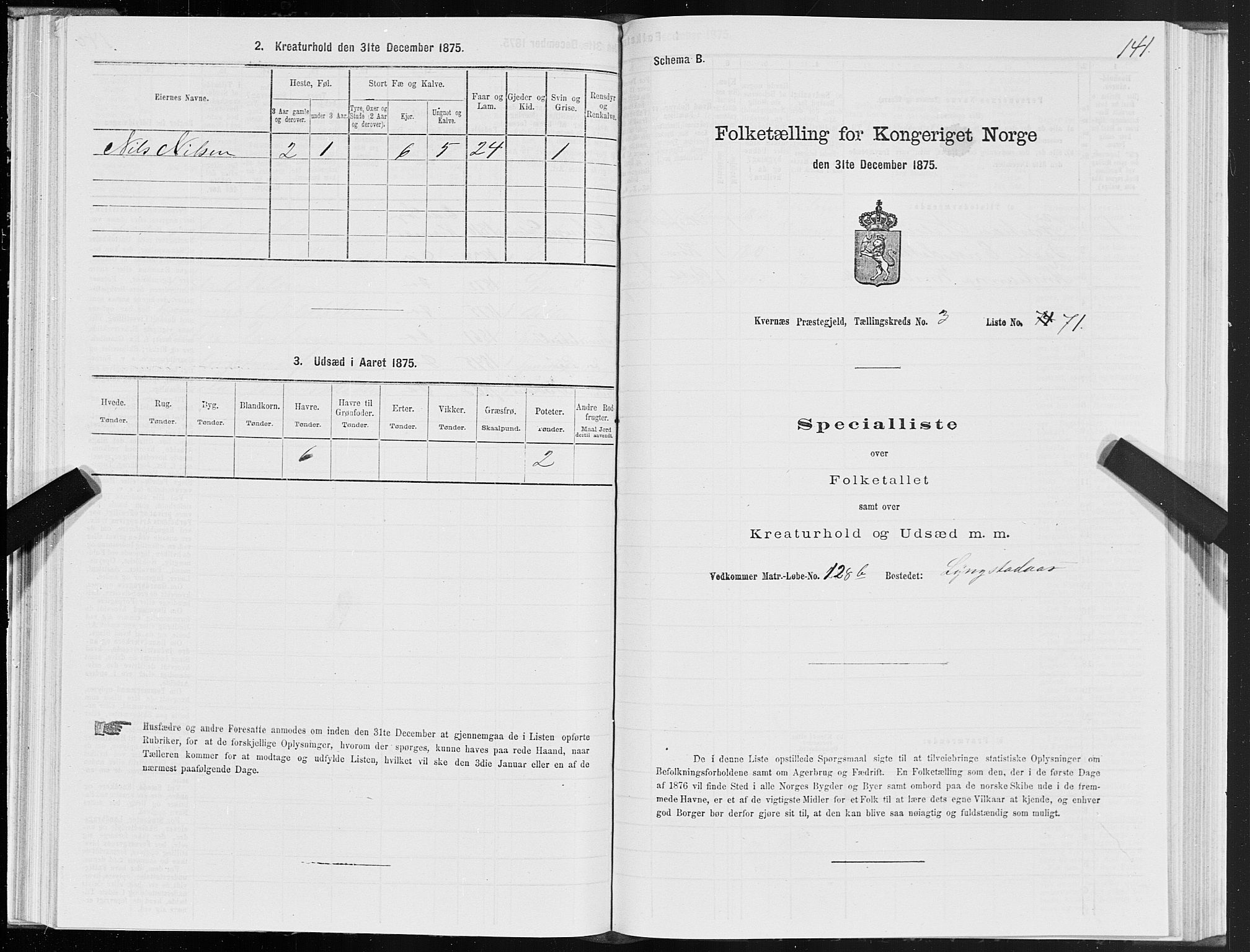 SAT, 1875 census for 1553P Kvernes, 1875, p. 2141