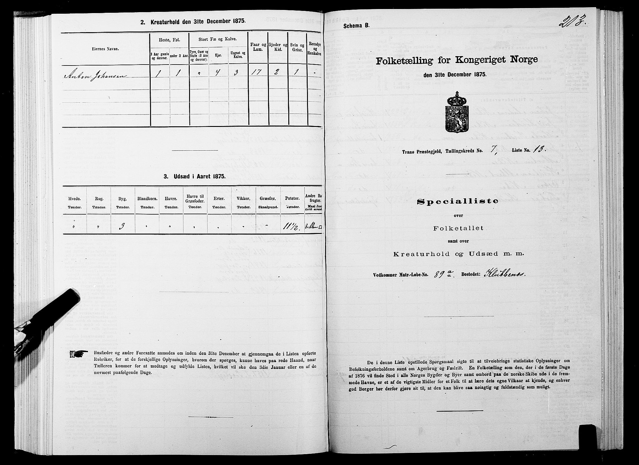 SATØ, 1875 census for 1927P Tranøy, 1875, p. 3213