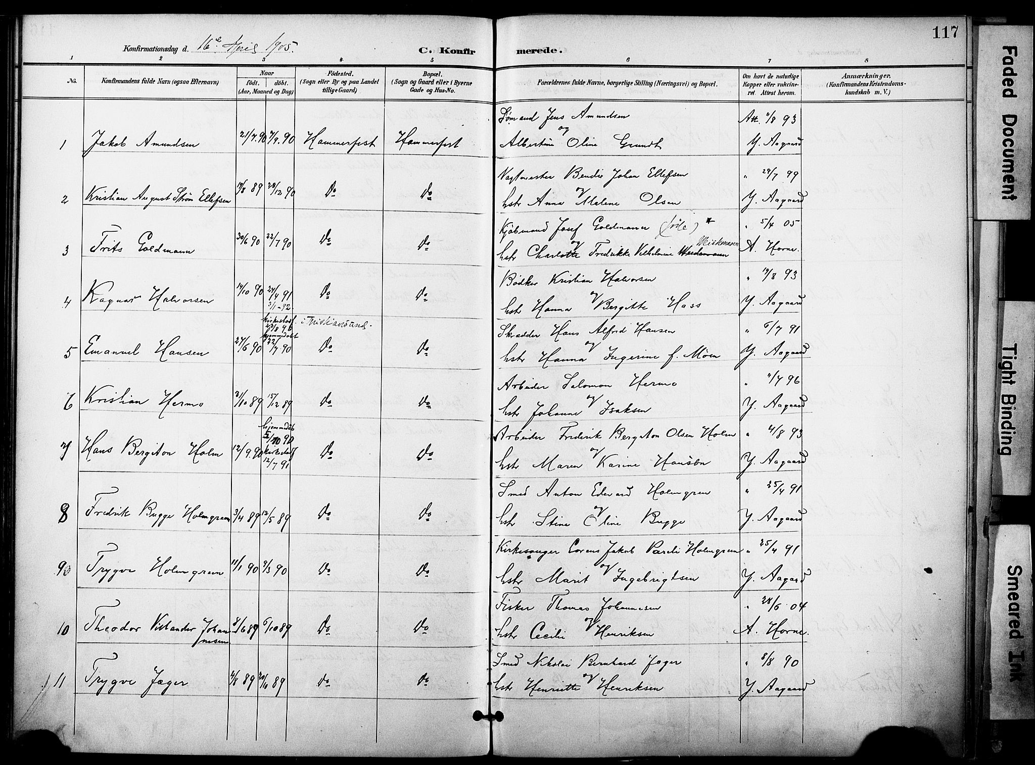 Hammerfest sokneprestkontor, SATØ/S-1347/H/Ha/L0010.kirke: Parish register (official) no. 10, 1898-1905, p. 117