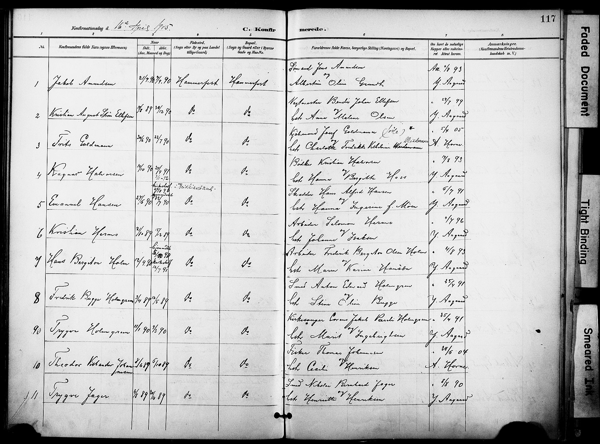 Hammerfest sokneprestkontor, AV/SATØ-S-1347/H/Ha/L0010.kirke: Parish register (official) no. 10, 1898-1905, p. 117