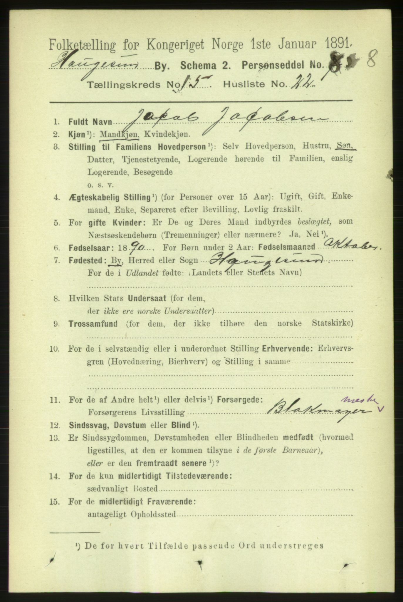 RA, 1891 census for 1106 Haugesund, 1891, p. 5145