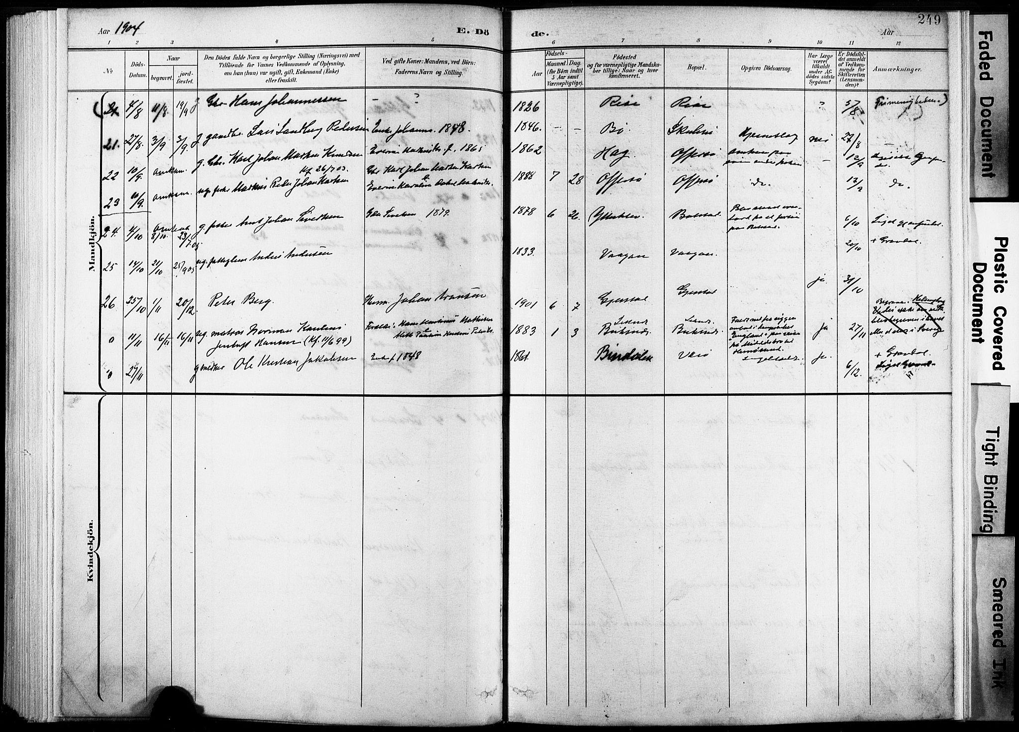 Ministerialprotokoller, klokkerbøker og fødselsregistre - Nordland, AV/SAT-A-1459/881/L1151: Parish register (official) no. 881A04, 1899-1907, p. 249