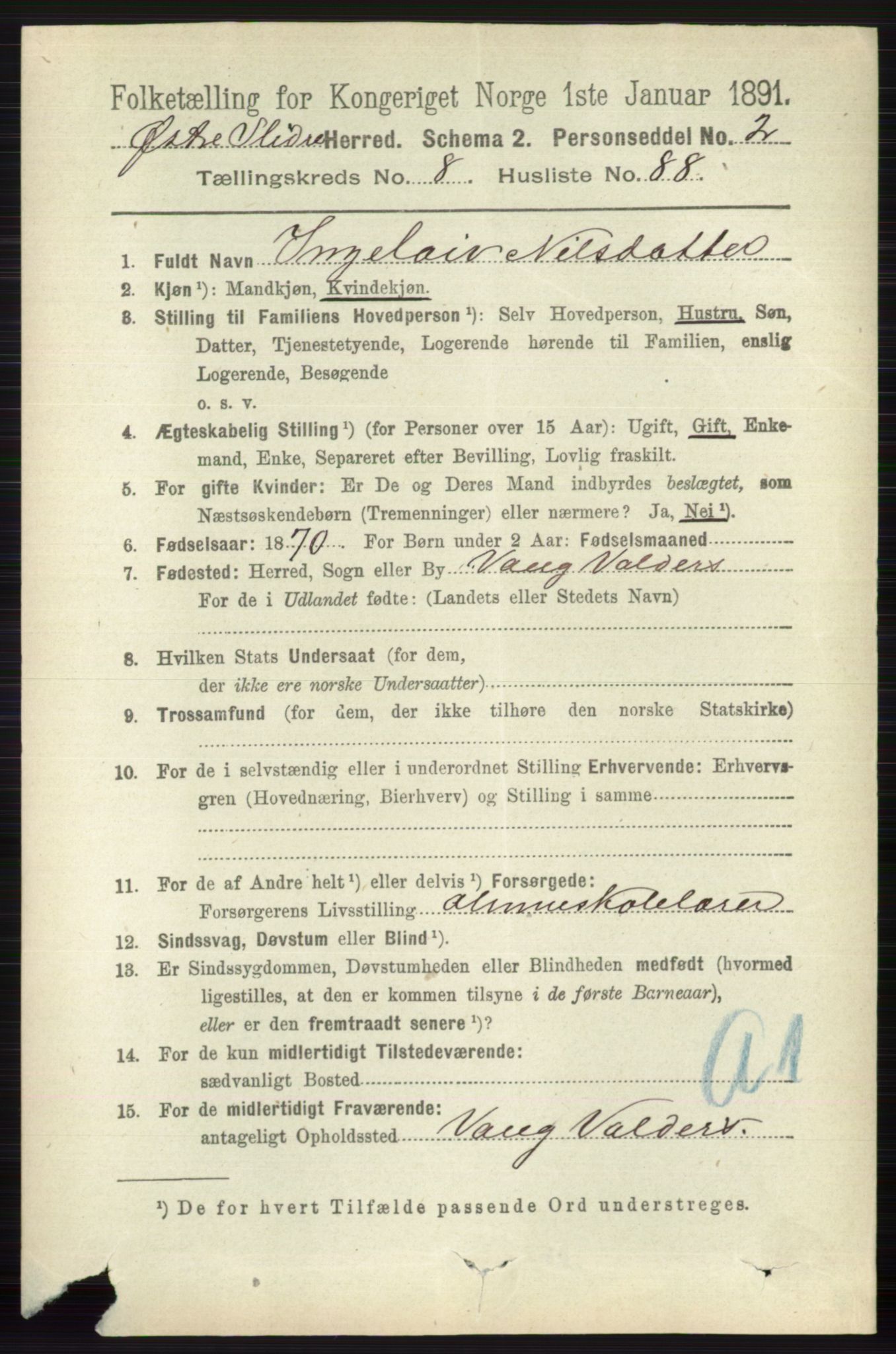 RA, 1891 census for 0544 Øystre Slidre, 1891, p. 3013