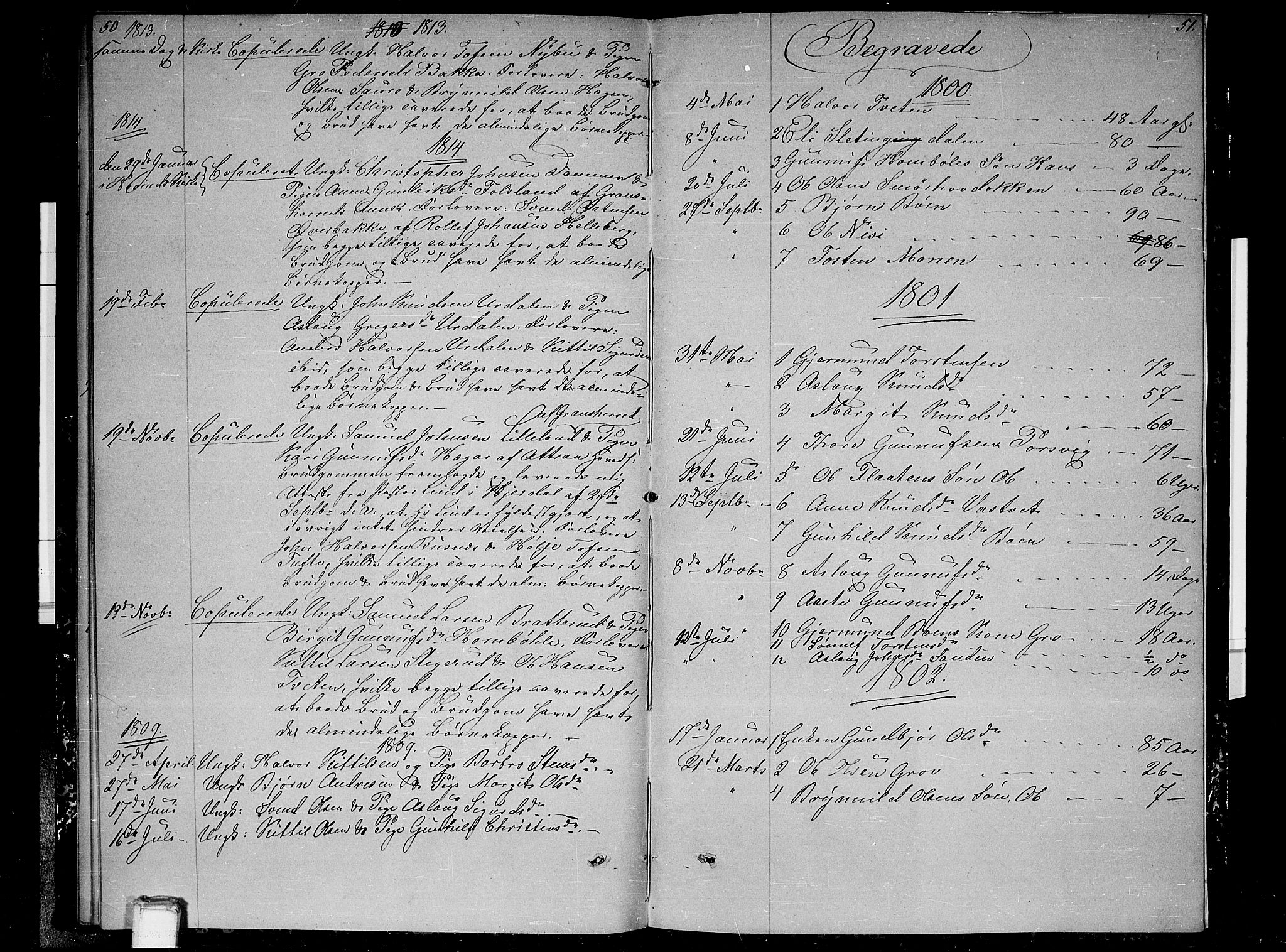 Gransherad kirkebøker, SAKO/A-267/F/Fb/L0001: Parish register (official) no. II 1, 1800-1814, p. 50-51