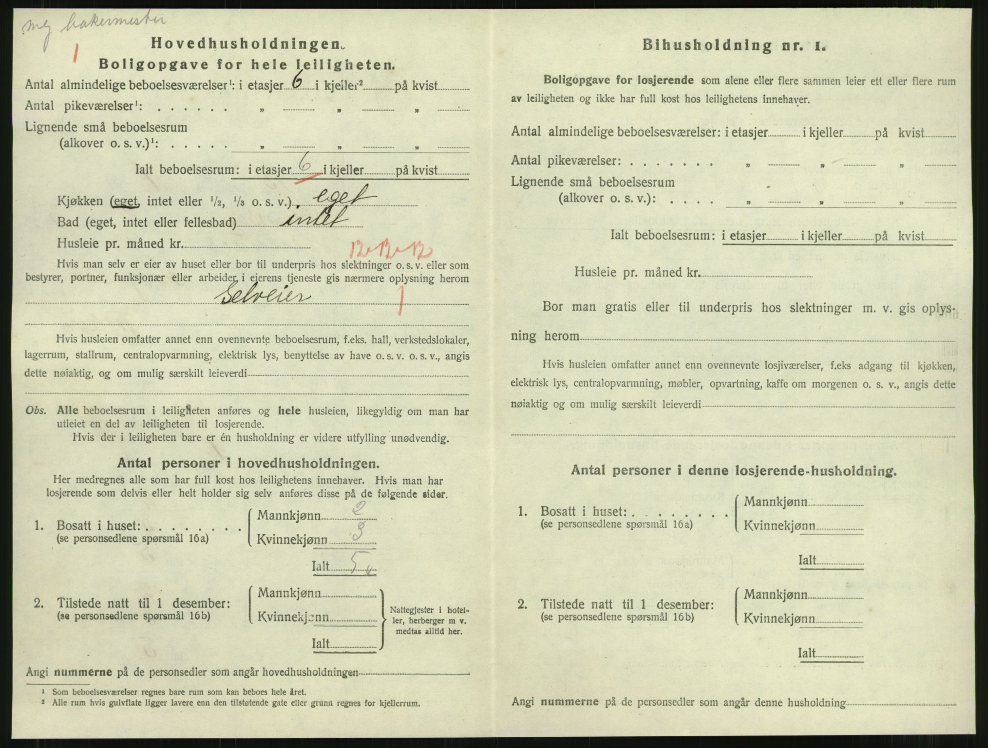 SAT, 1920 census for Namsos, 1920, p. 1174