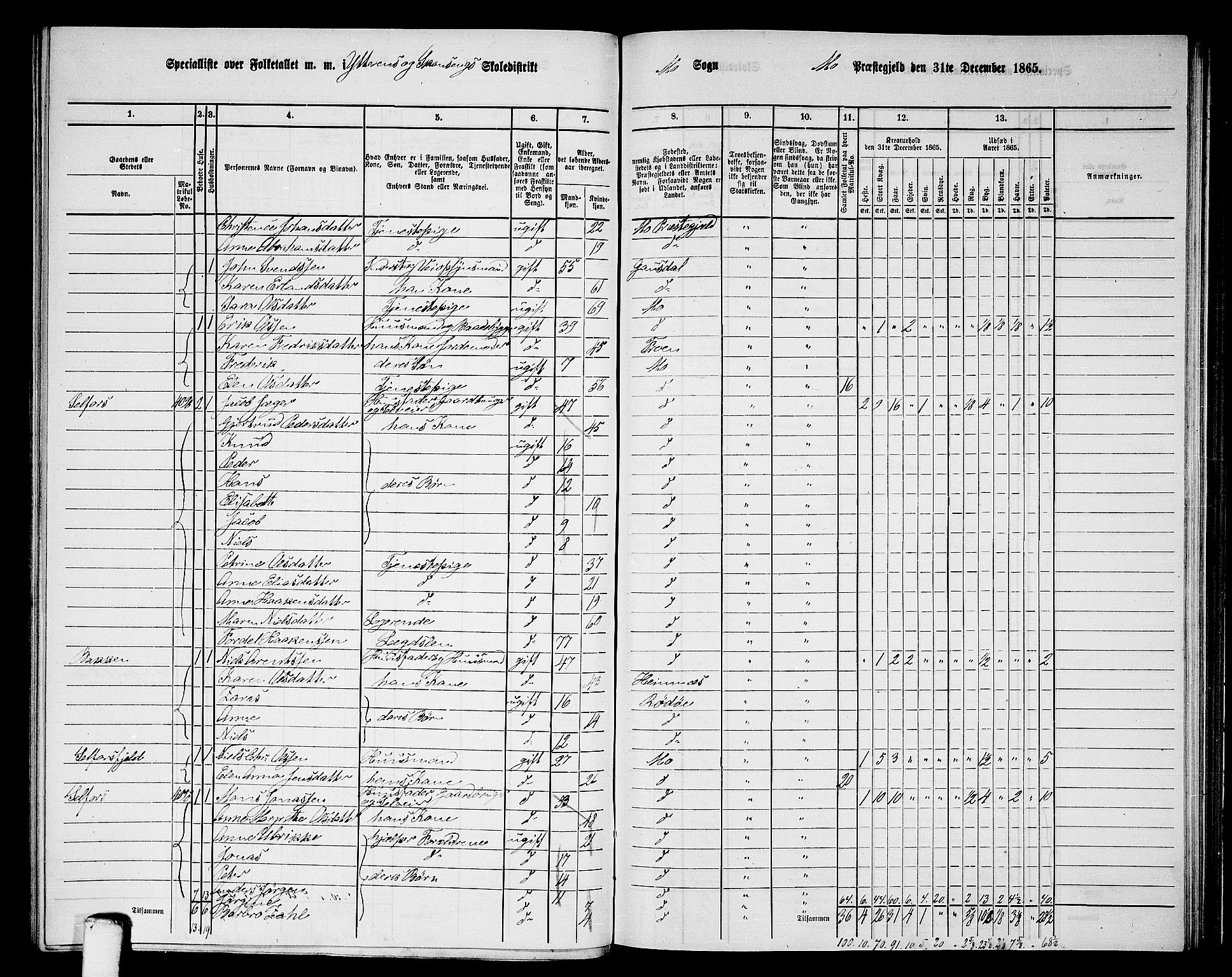 RA, 1865 census for Mo, 1865, p. 117