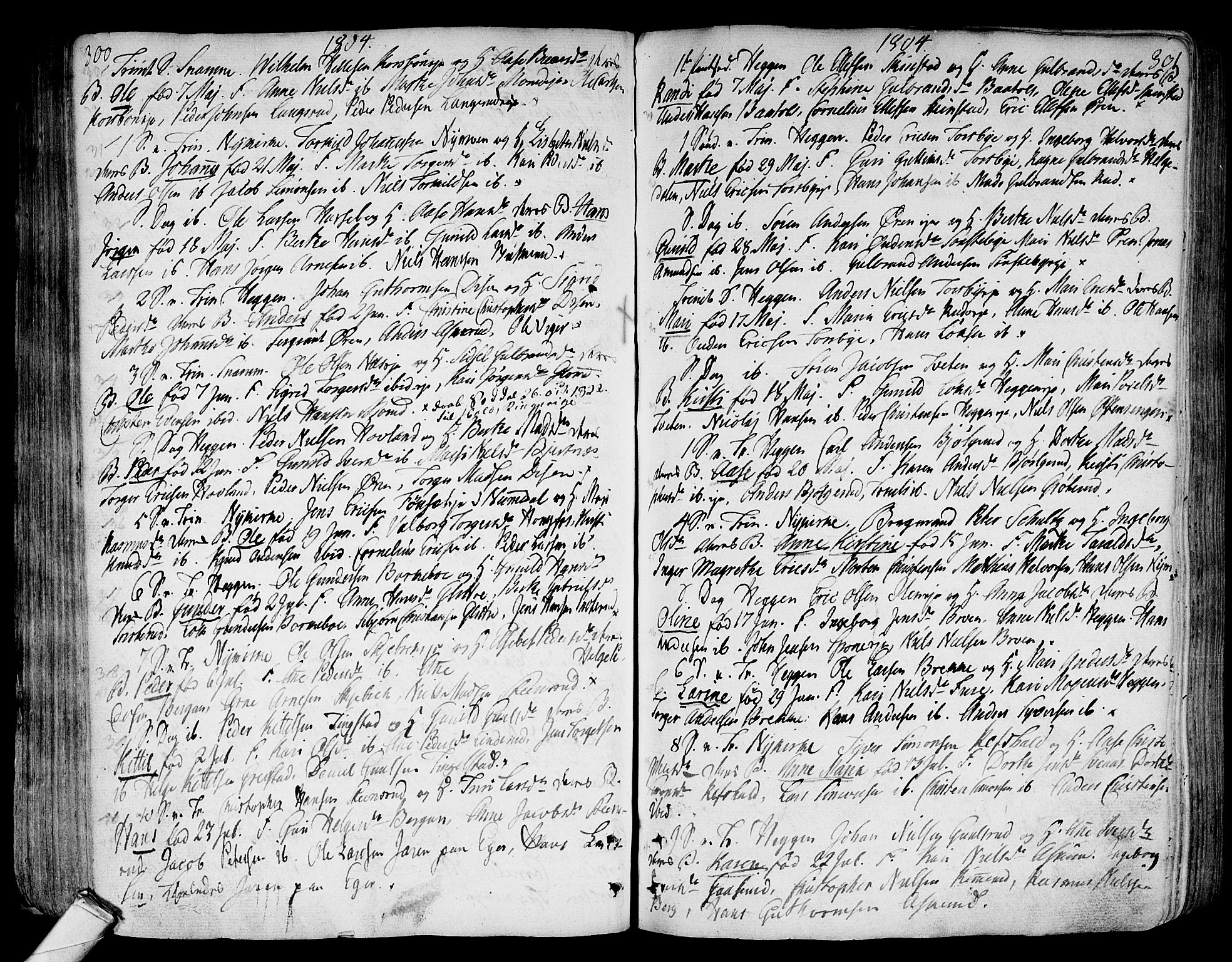 Modum kirkebøker, AV/SAKO-A-234/F/Fa/L0003: Parish register (official) no. 3, 1783-1819, p. 300-301