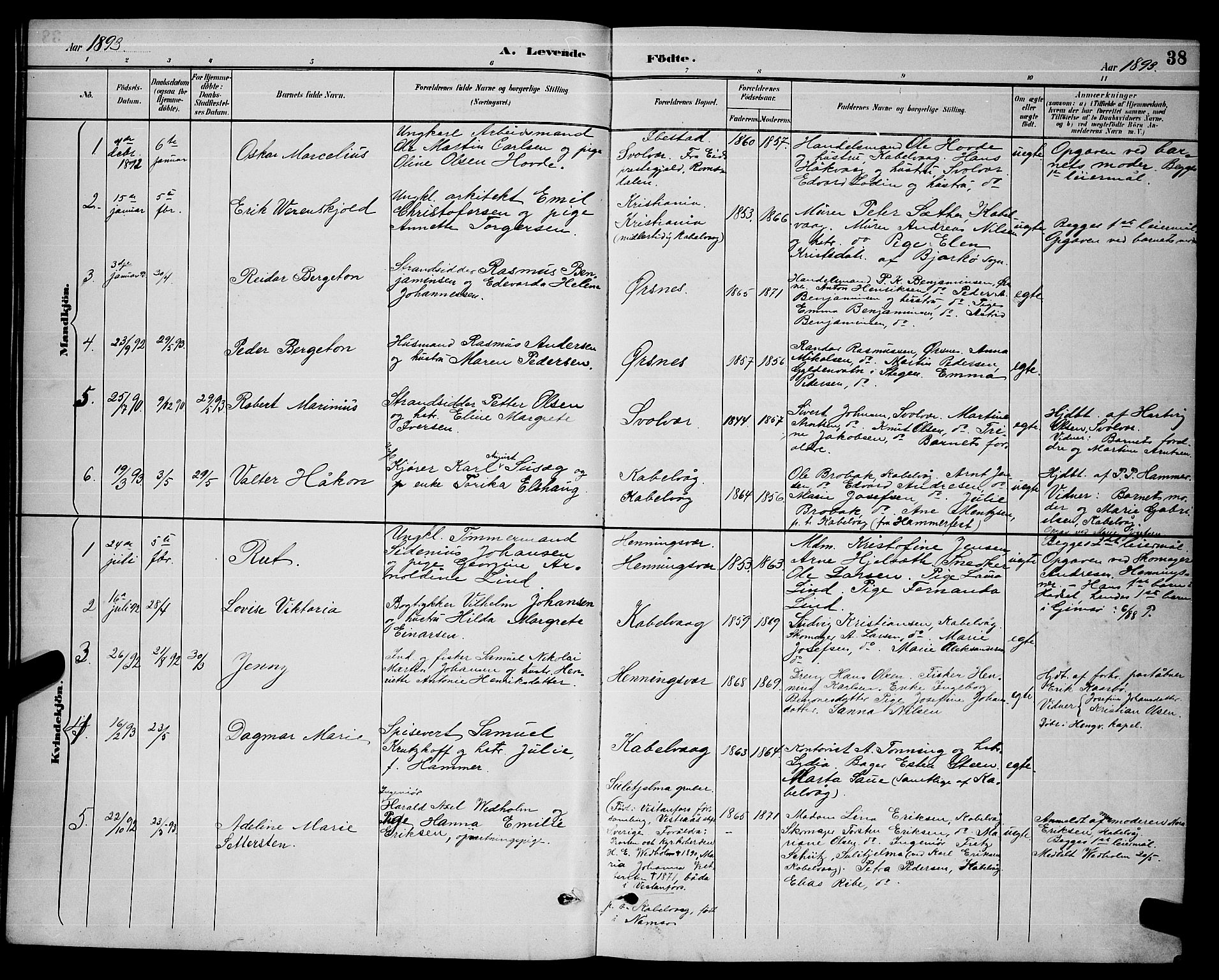 Ministerialprotokoller, klokkerbøker og fødselsregistre - Nordland, AV/SAT-A-1459/874/L1077: Parish register (copy) no. 874C06, 1891-1900, p. 38