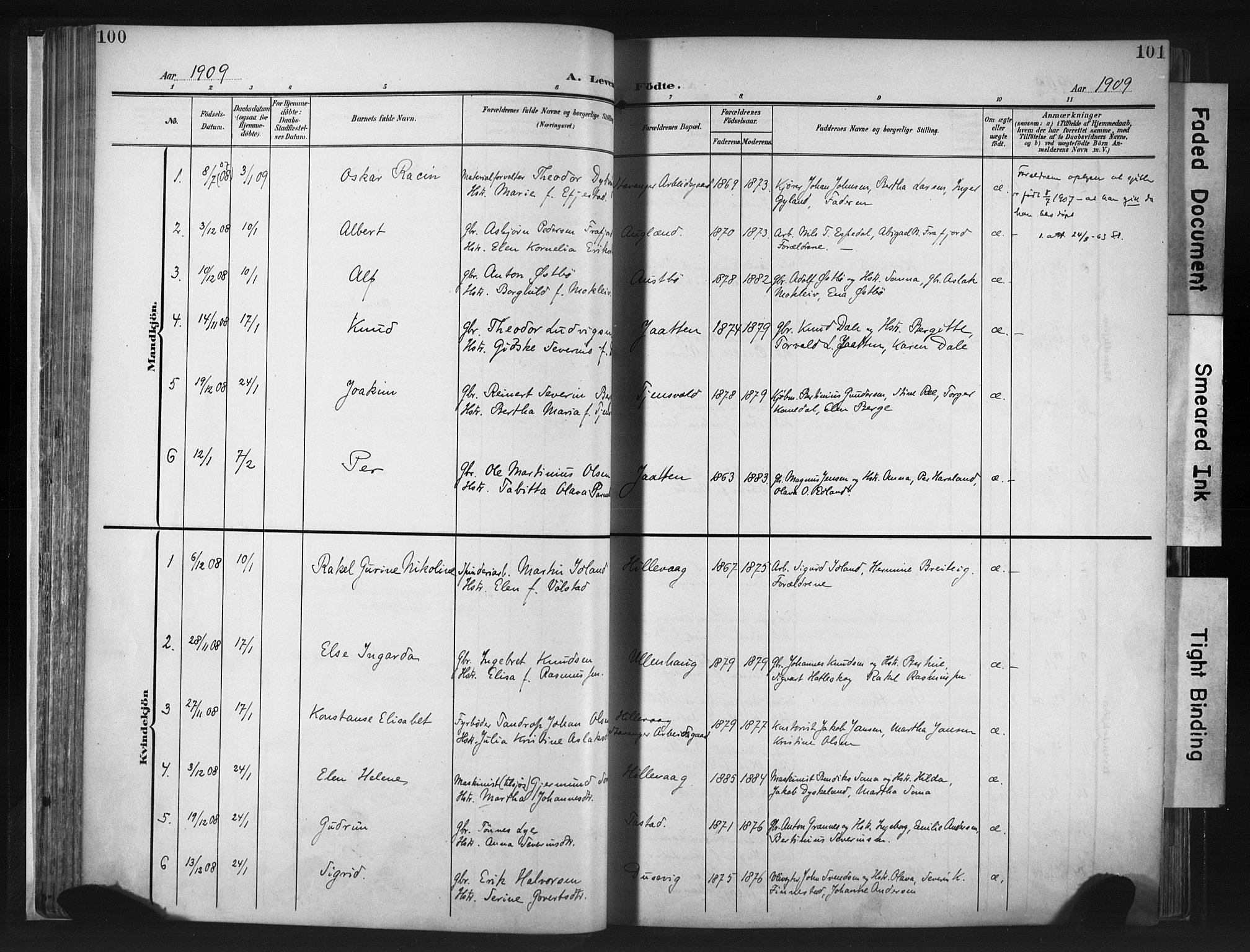 Hetland sokneprestkontor, SAST/A-101826/30/30BA/L0013: Parish register (official) no. A 13, 1904-1918, p. 100-101