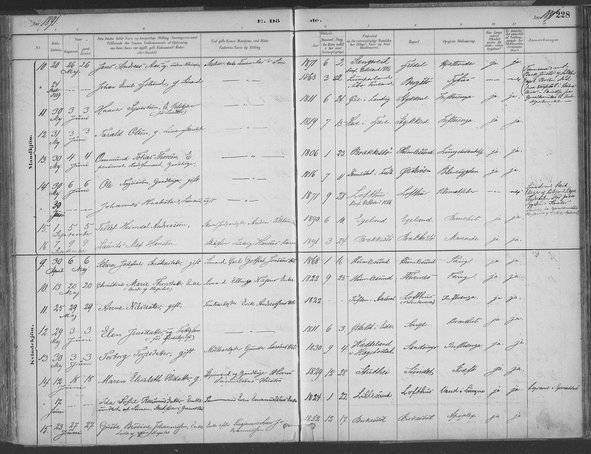 Vestre Moland sokneprestkontor, AV/SAK-1111-0046/F/Fa/Fab/L0009: Parish register (official) no. A 9, 1884-1899, p. 228