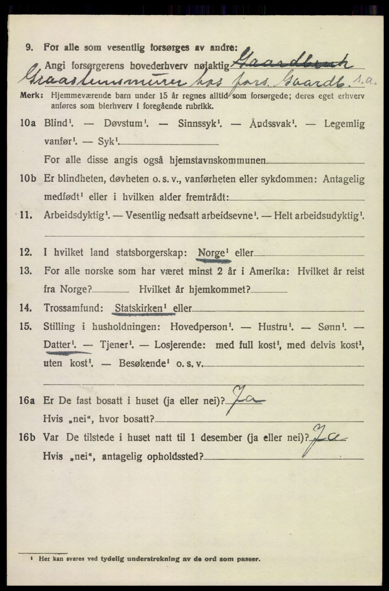 SAH, 1920 census for Snertingdal, 1920, p. 4858