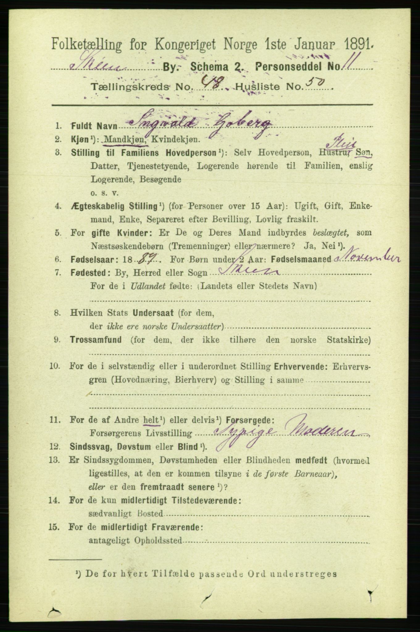 RA, 1891 census for 0806 Skien, 1891, p. 10288