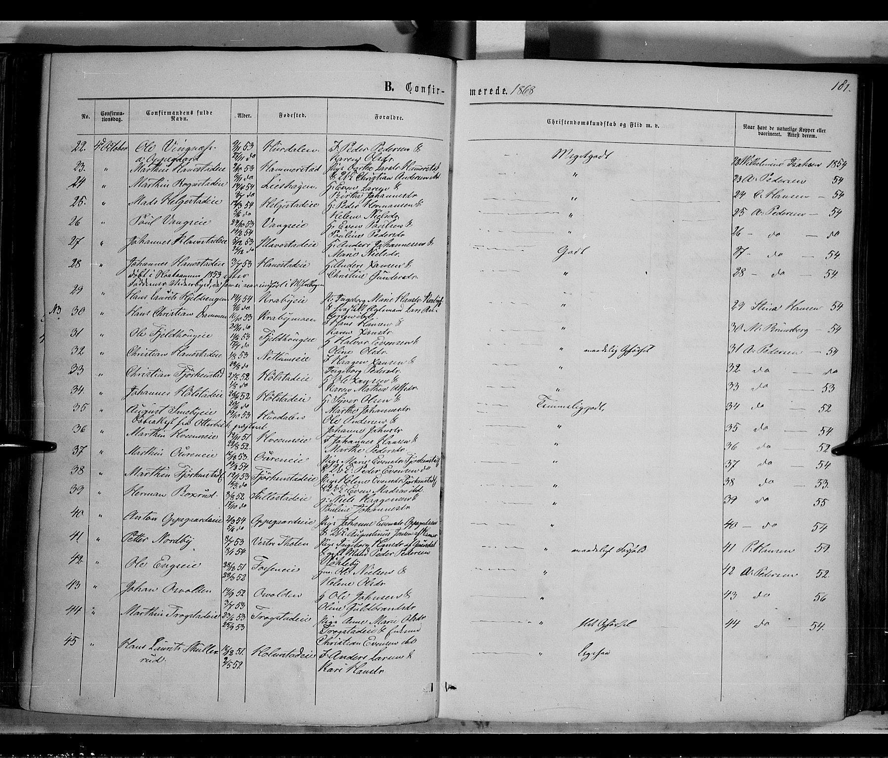 Østre Toten prestekontor, SAH/PREST-104/H/Ha/Haa/L0005: Parish register (official) no. 5, 1866-1877, p. 181