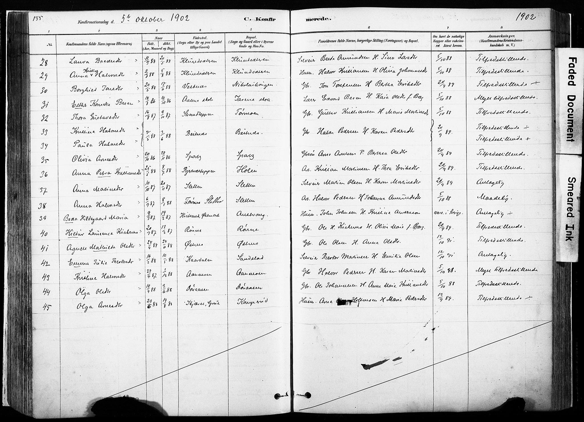 Hof prestekontor, AV/SAH-PREST-038/H/Ha/Haa/L0010: Parish register (official) no. 10, 1878-1909, p. 185