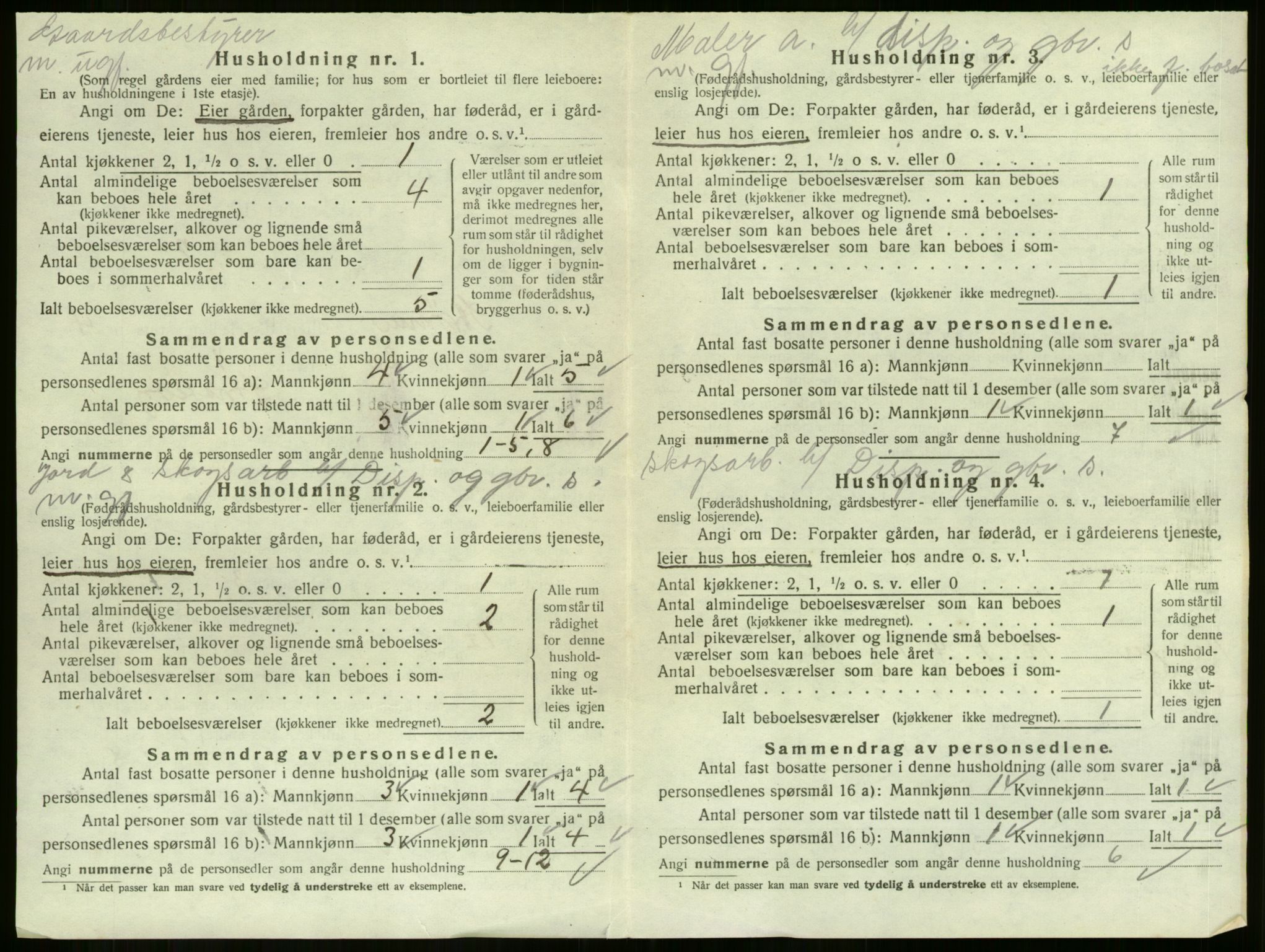 SAKO, 1920 census for Strømm, 1920, p. 434