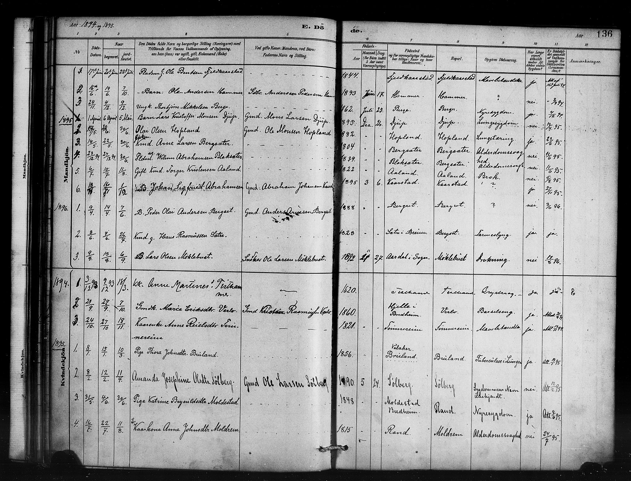 Innvik sokneprestembete, AV/SAB-A-80501: Parish register (official) no. D 1, 1879-1900, p. 136