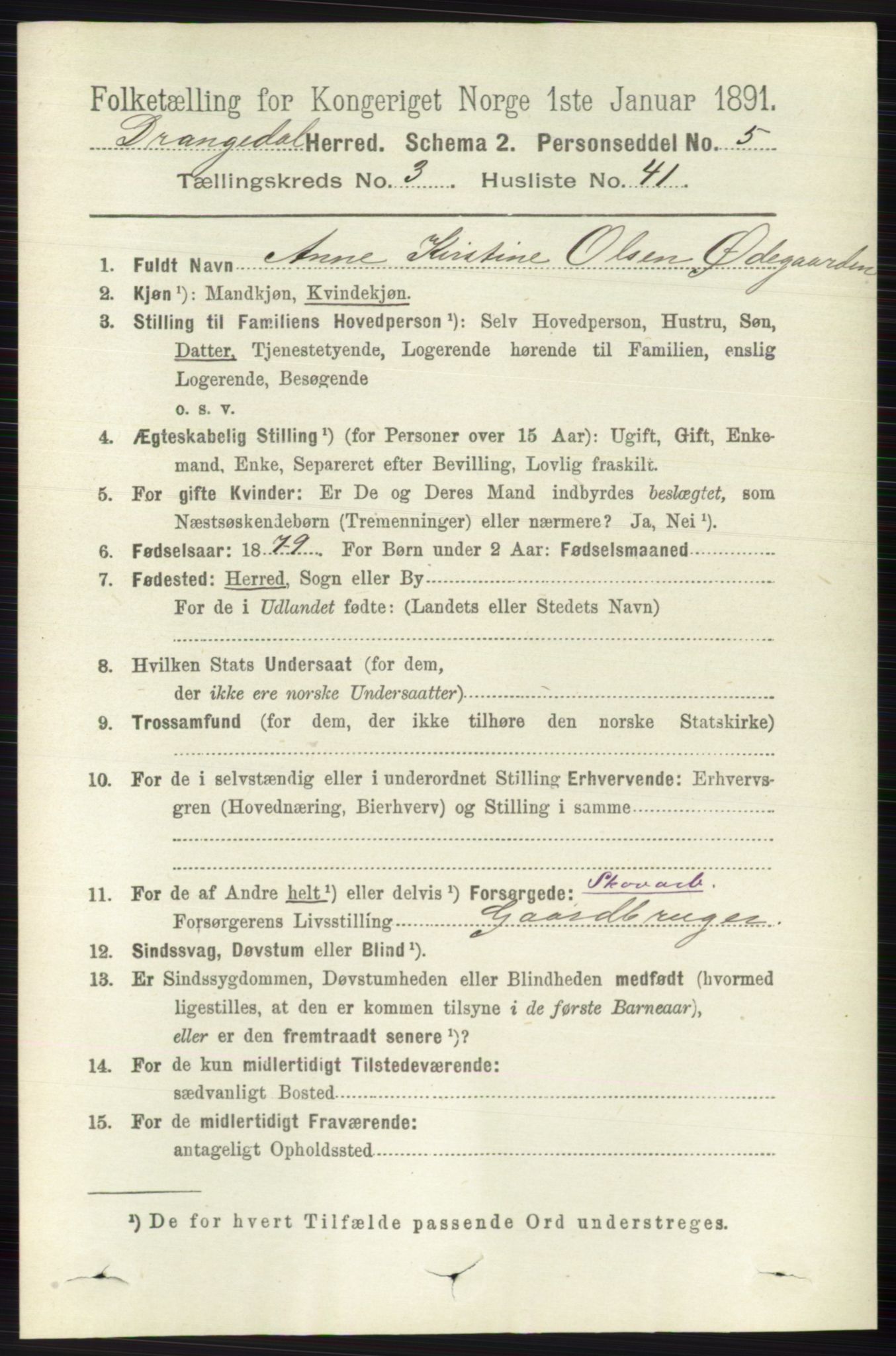 RA, 1891 census for 0817 Drangedal, 1891, p. 1123