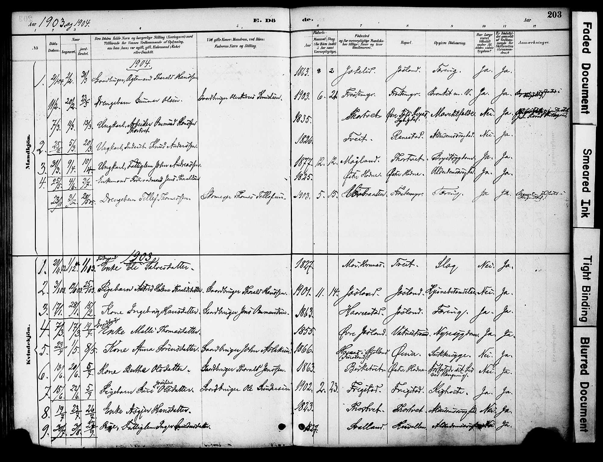 Evje sokneprestkontor, AV/SAK-1111-0008/F/Fa/Fac/L0003: Parish register (official) no. A 3, 1884-1909, p. 203