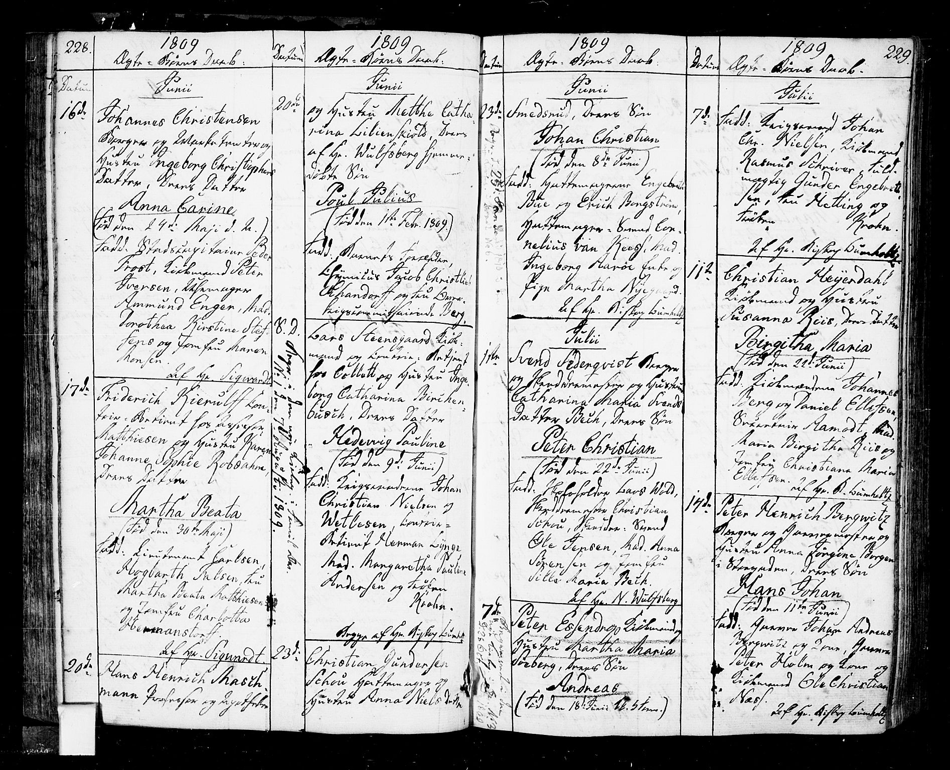 Oslo domkirke Kirkebøker, AV/SAO-A-10752/F/Fa/L0006: Parish register (official) no. 6, 1807-1817, p. 228-229