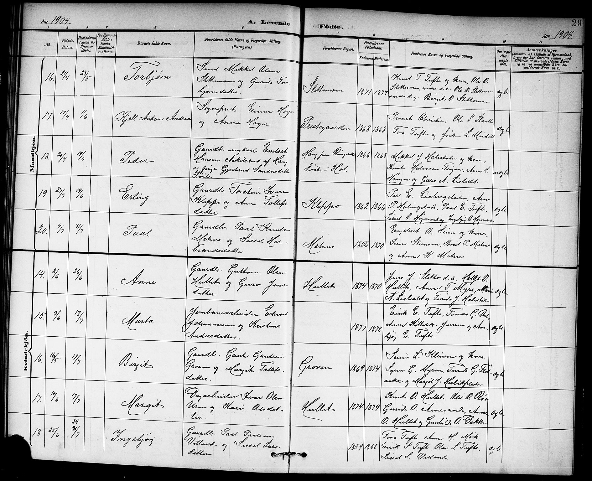 Hol kirkebøker, AV/SAKO-A-227/G/Ga/L0001: Parish register (copy) no. I 1, 1900-1919, p. 29