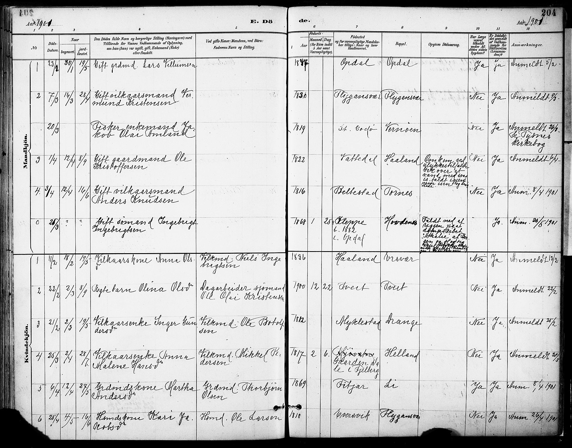 Tysnes sokneprestembete, SAB/A-78601/H/Haa: Parish register (official) no. D 1, 1887-1904, p. 204