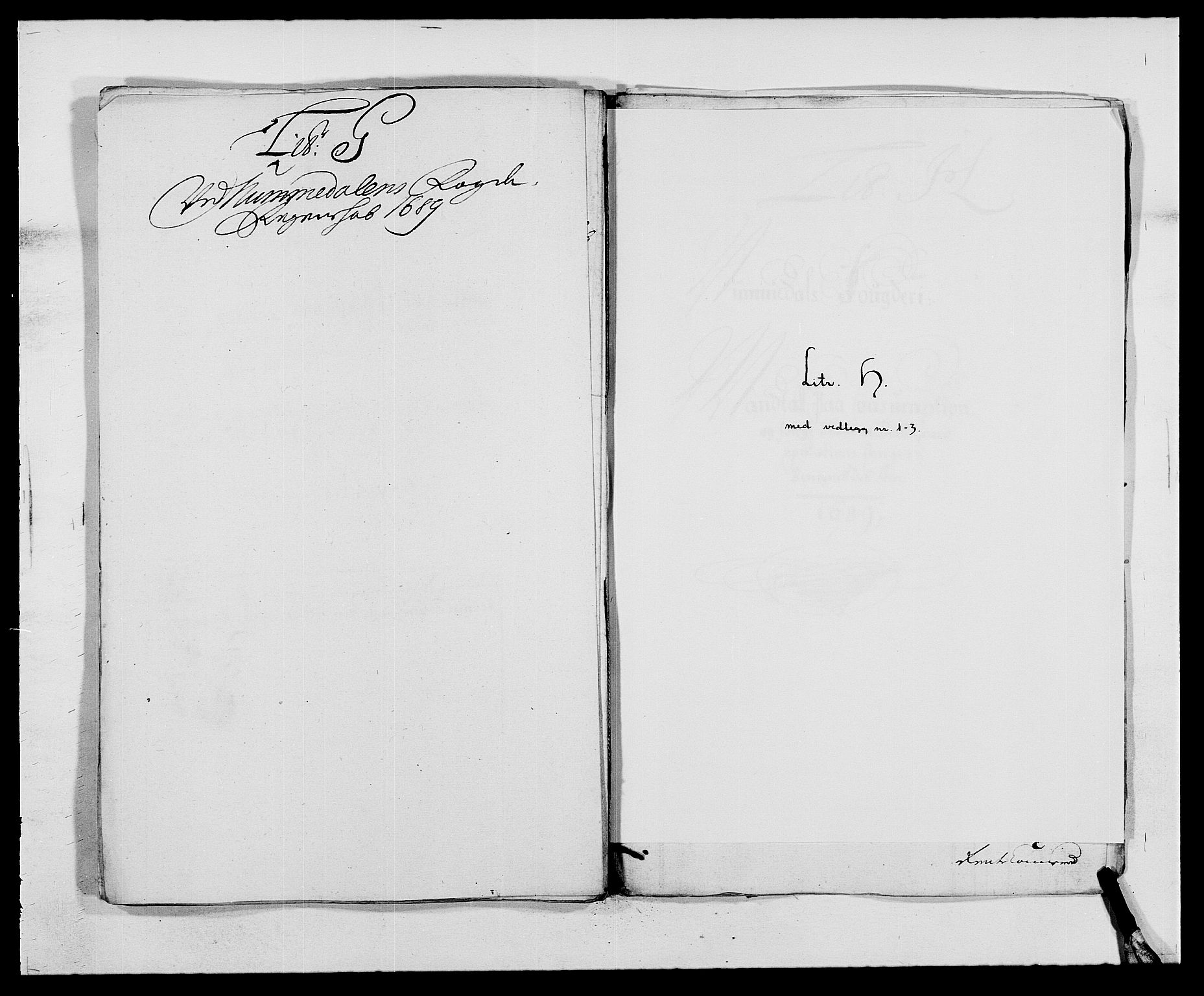 Rentekammeret inntil 1814, Reviderte regnskaper, Fogderegnskap, AV/RA-EA-4092/R64/L4422: Fogderegnskap Namdal, 1687-1689, p. 229