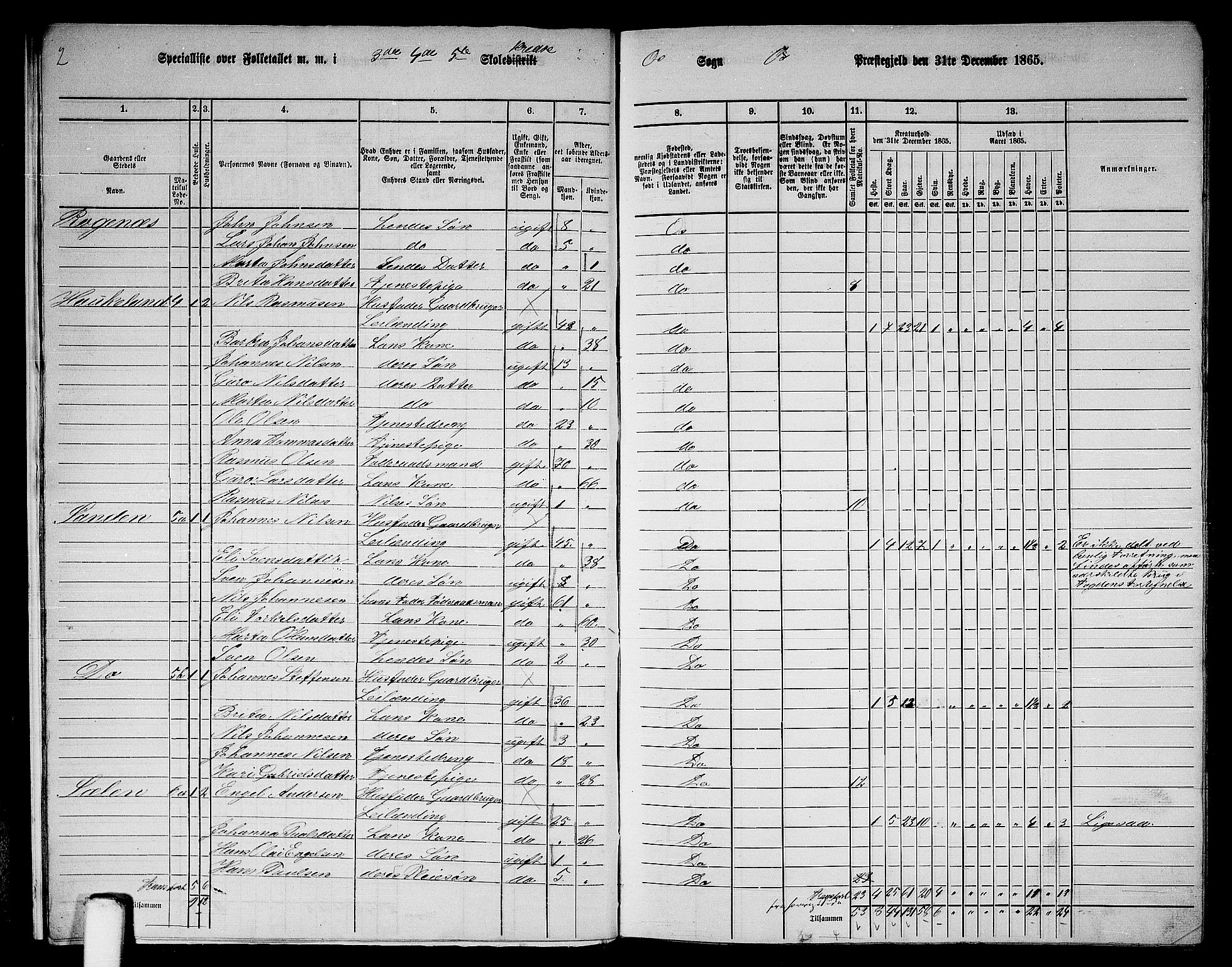 RA, 1865 census for Os, 1865, p. 13