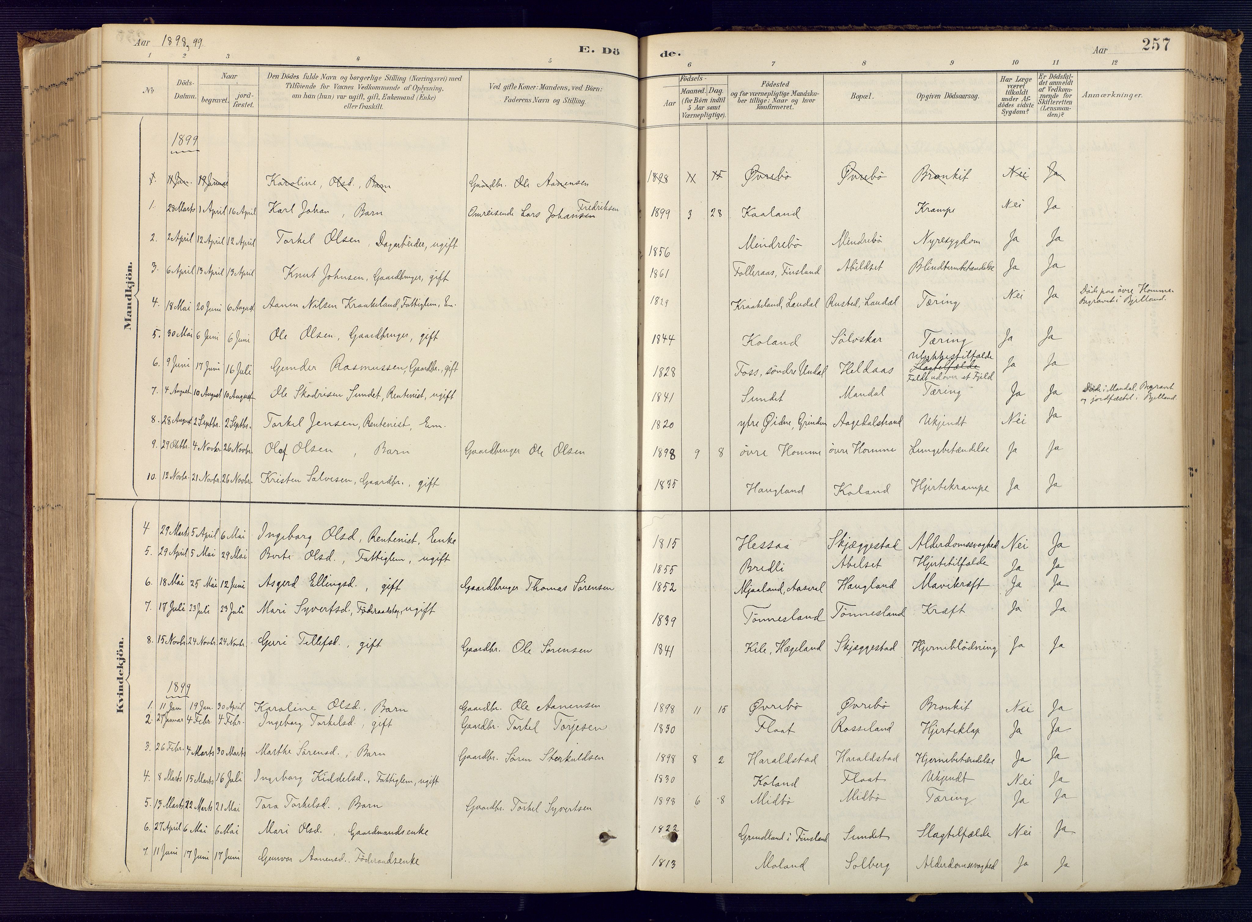 Bjelland sokneprestkontor, SAK/1111-0005/F/Fa/Faa/L0004: Parish register (official) no. A 4, 1887-1923, p. 257