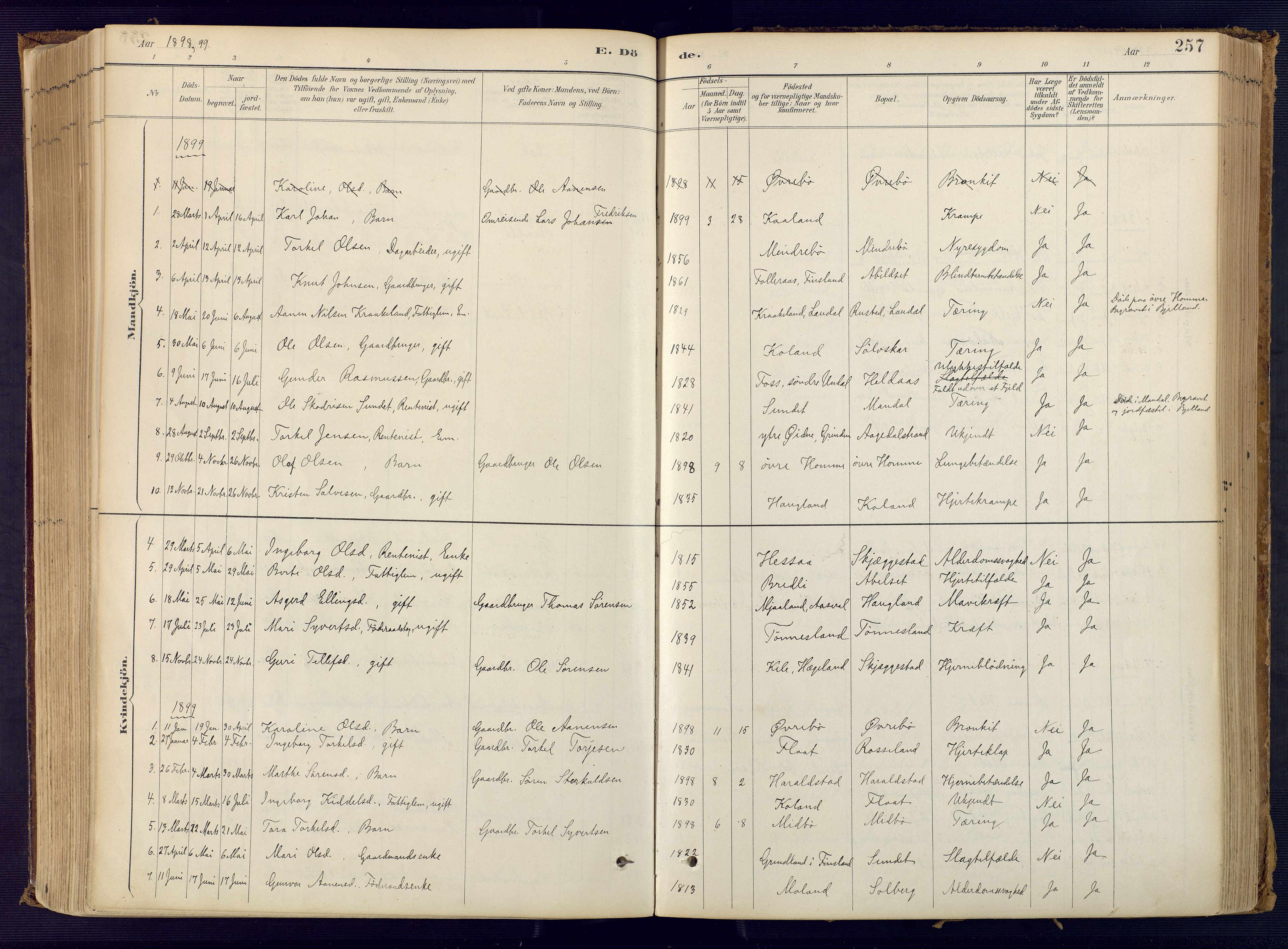 Bjelland sokneprestkontor, AV/SAK-1111-0005/F/Fa/Faa/L0004: Parish register (official) no. A 4, 1887-1923, p. 257