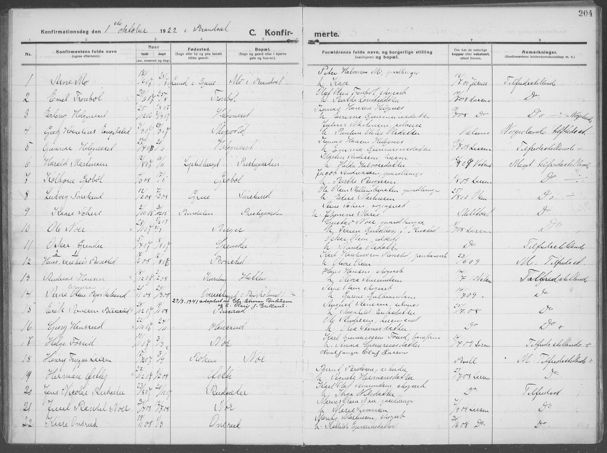 Brandval prestekontor, SAH/PREST-034/H/Ha/Haa/L0004: Parish register (official) no. 4, 1910-1924, p. 204