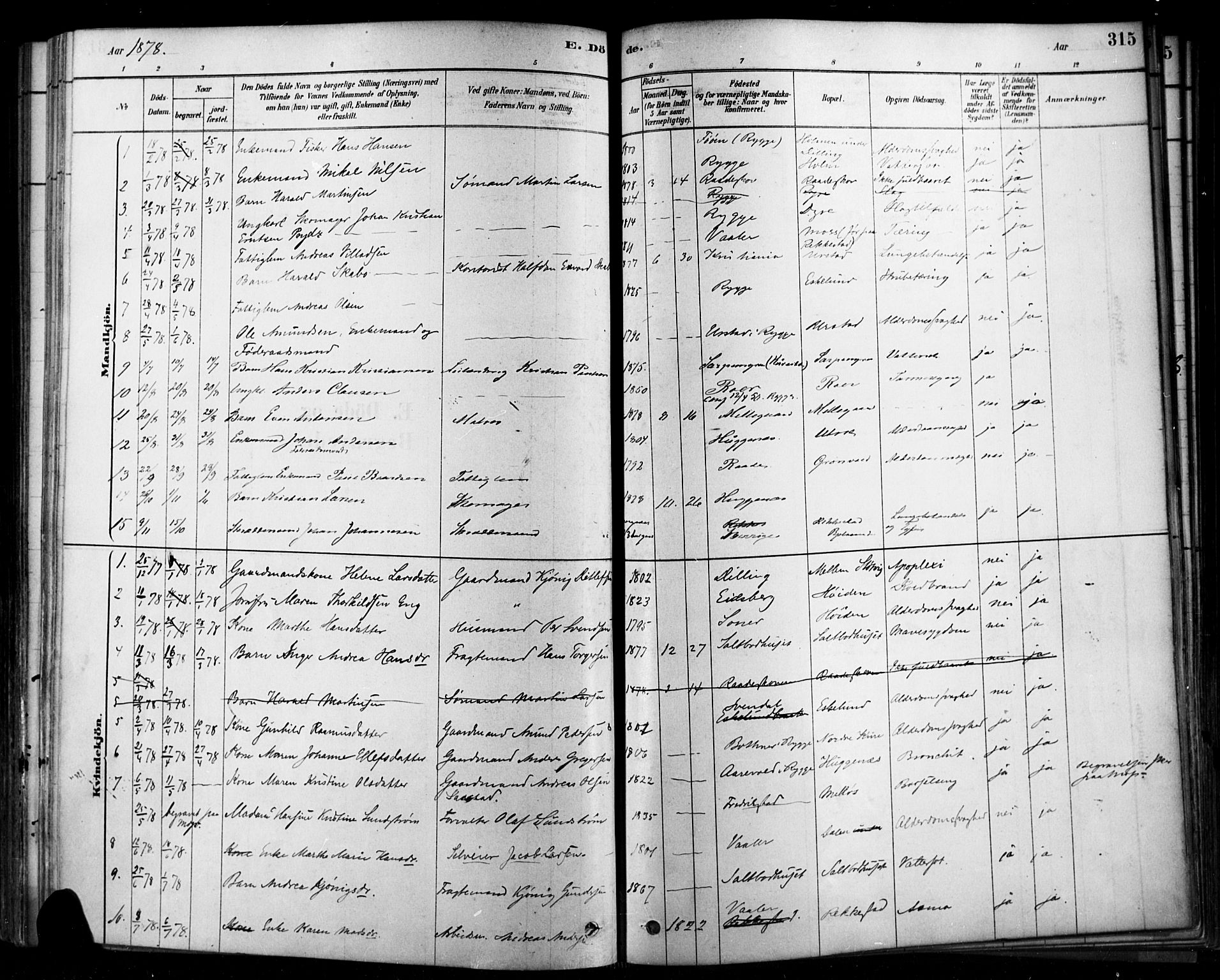 Rygge prestekontor Kirkebøker, AV/SAO-A-10084b/F/Fa/L0007: Parish register (official) no. 7, 1878-1904, p. 315