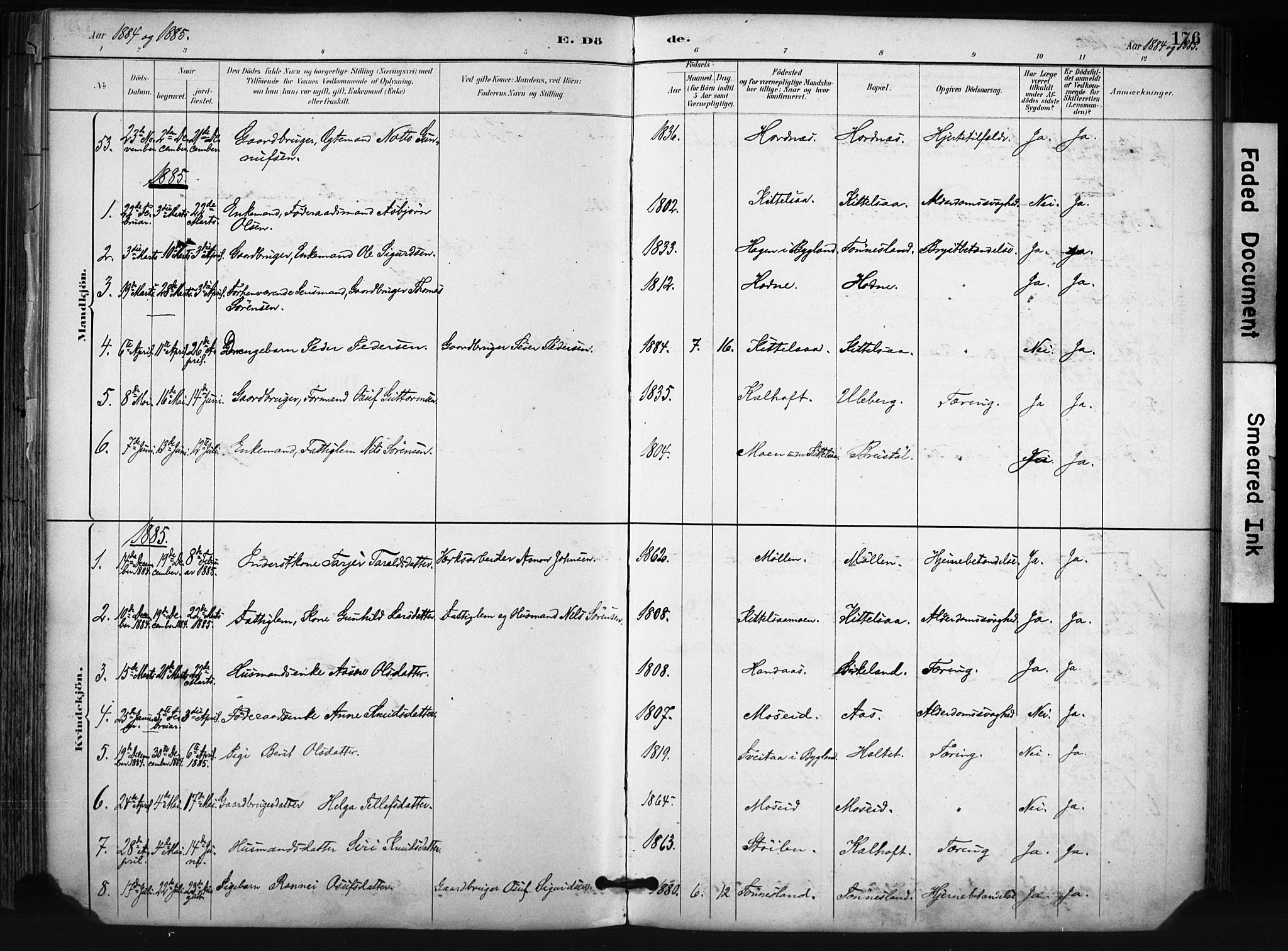 Evje sokneprestkontor, SAK/1111-0008/F/Fa/Fab/L0003: Parish register (official) no. A 3, 1884-1909, p. 176