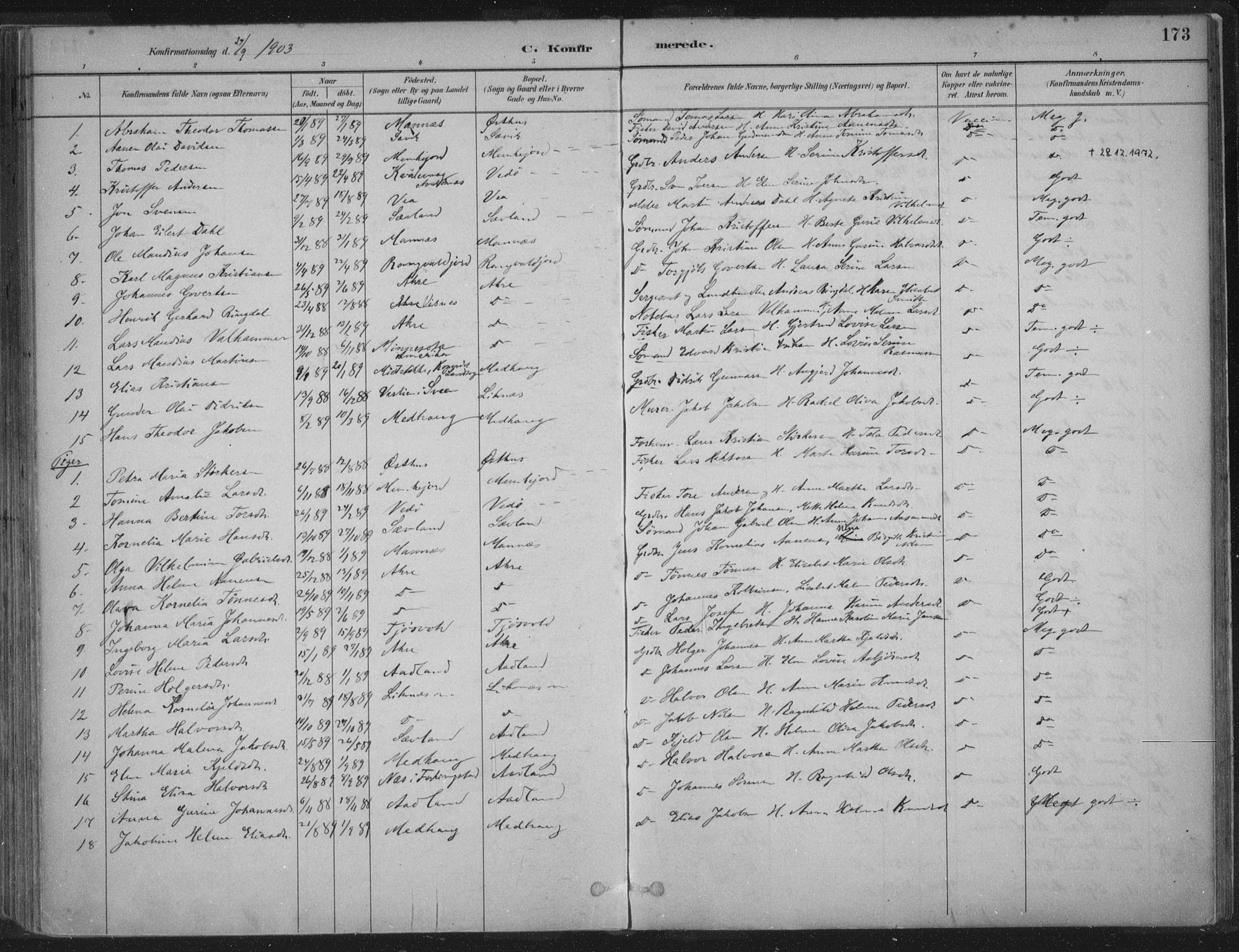 Kopervik sokneprestkontor, AV/SAST-A-101850/H/Ha/Haa/L0004: Parish register (official) no. A 4, 1882-1905, p. 173