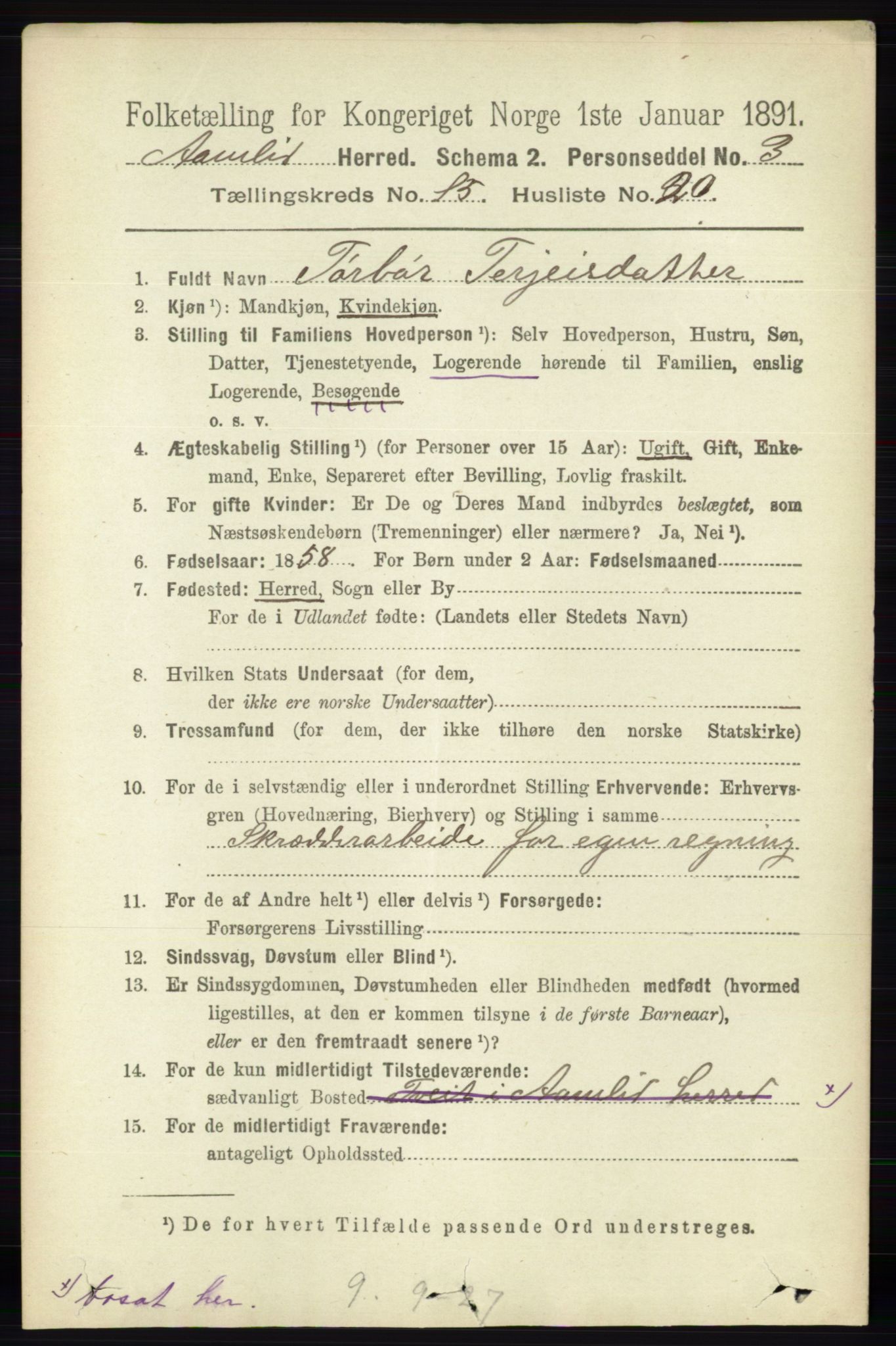 RA, 1891 census for 0929 Åmli, 1891, p. 2664