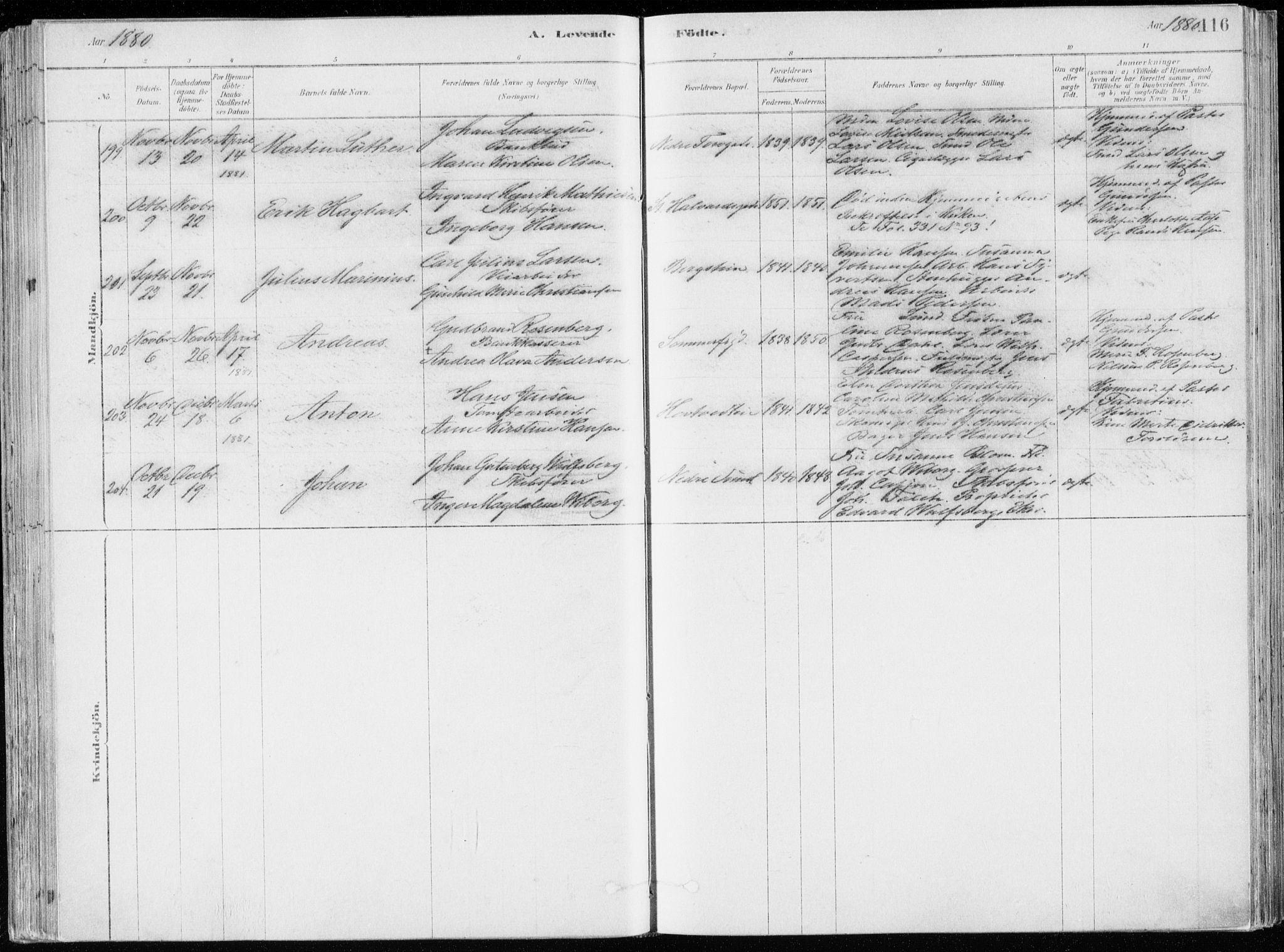 Bragernes kirkebøker, AV/SAKO-A-6/F/Fb/L0006a: Parish register (official) no. II 6A, 1878-1885, p. 116