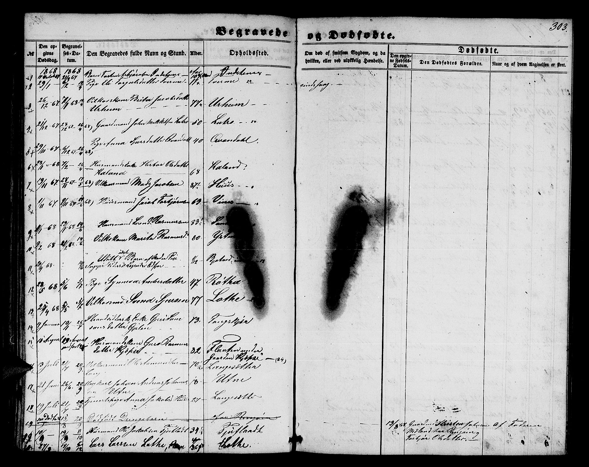 Ullensvang sokneprestembete, SAB/A-78701/H/Hab: Parish register (copy) no. E 6, 1857-1886, p. 303