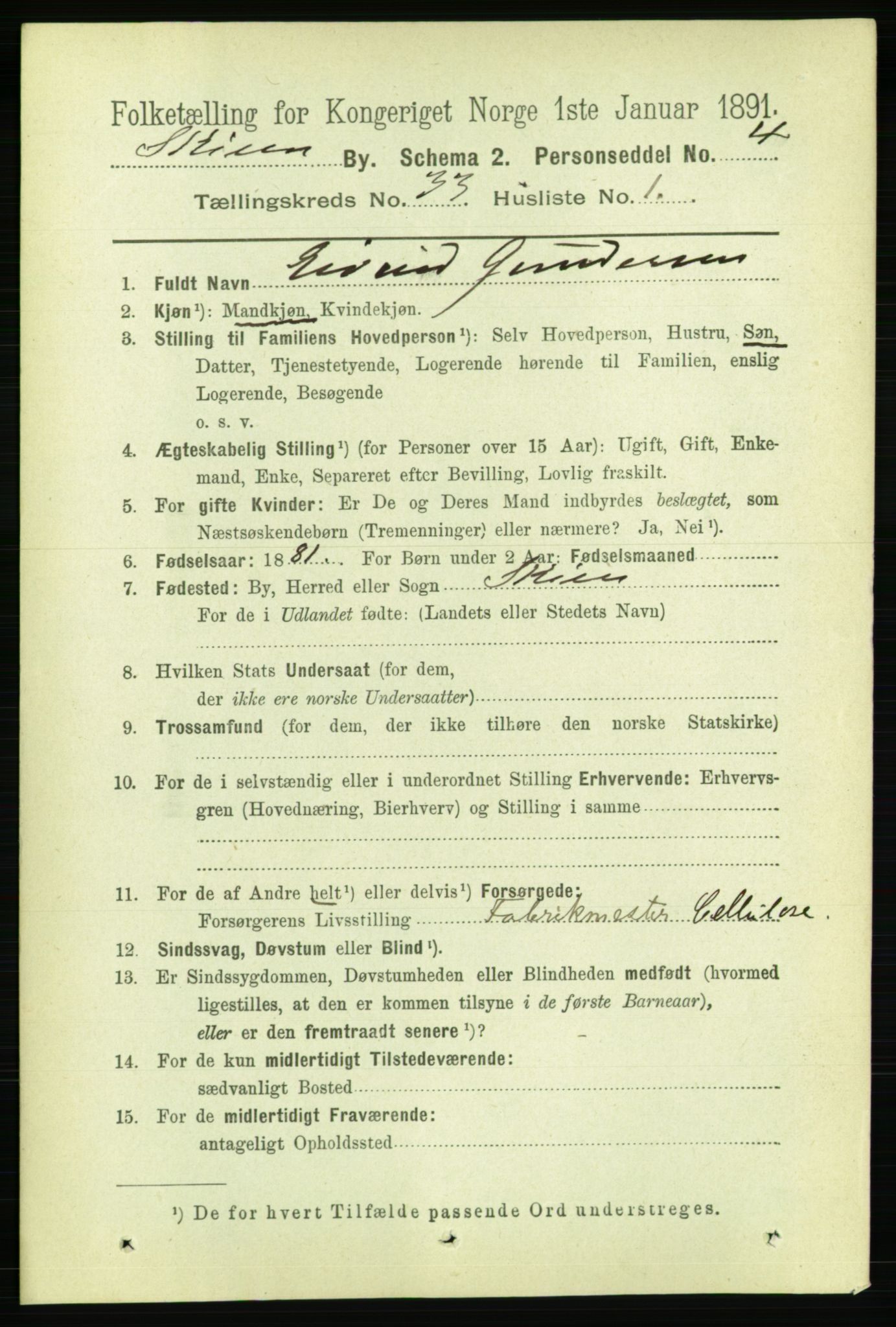 RA, 1891 census for 0806 Skien, 1891, p. 7494