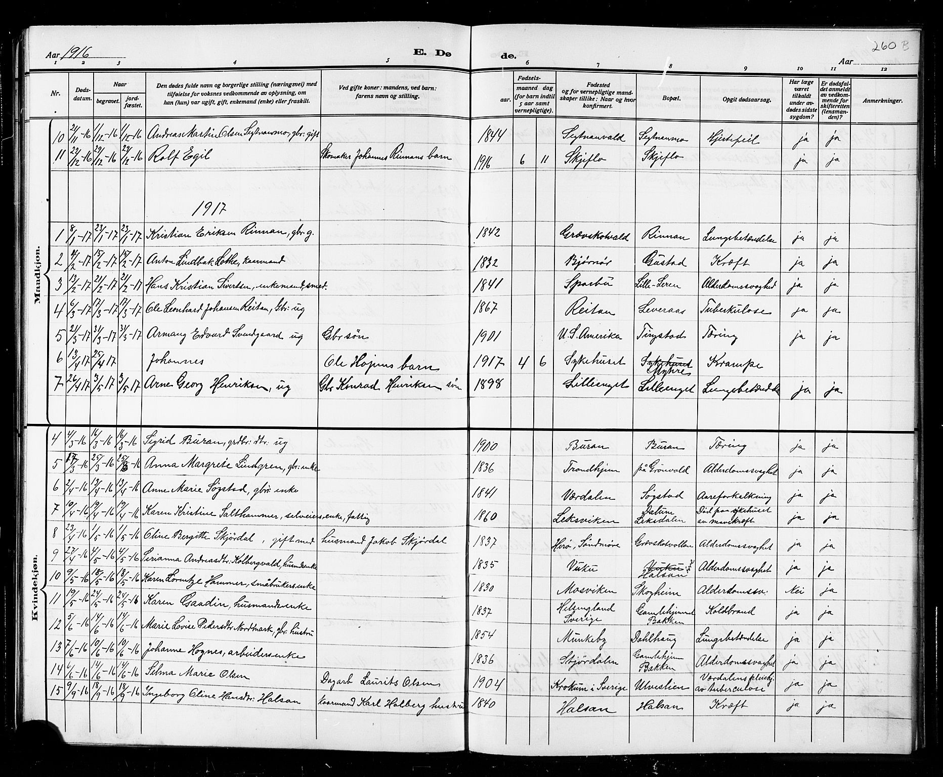 Ministerialprotokoller, klokkerbøker og fødselsregistre - Nord-Trøndelag, SAT/A-1458/721/L0208: Parish register (copy) no. 721C01, 1880-1917, p. 252i