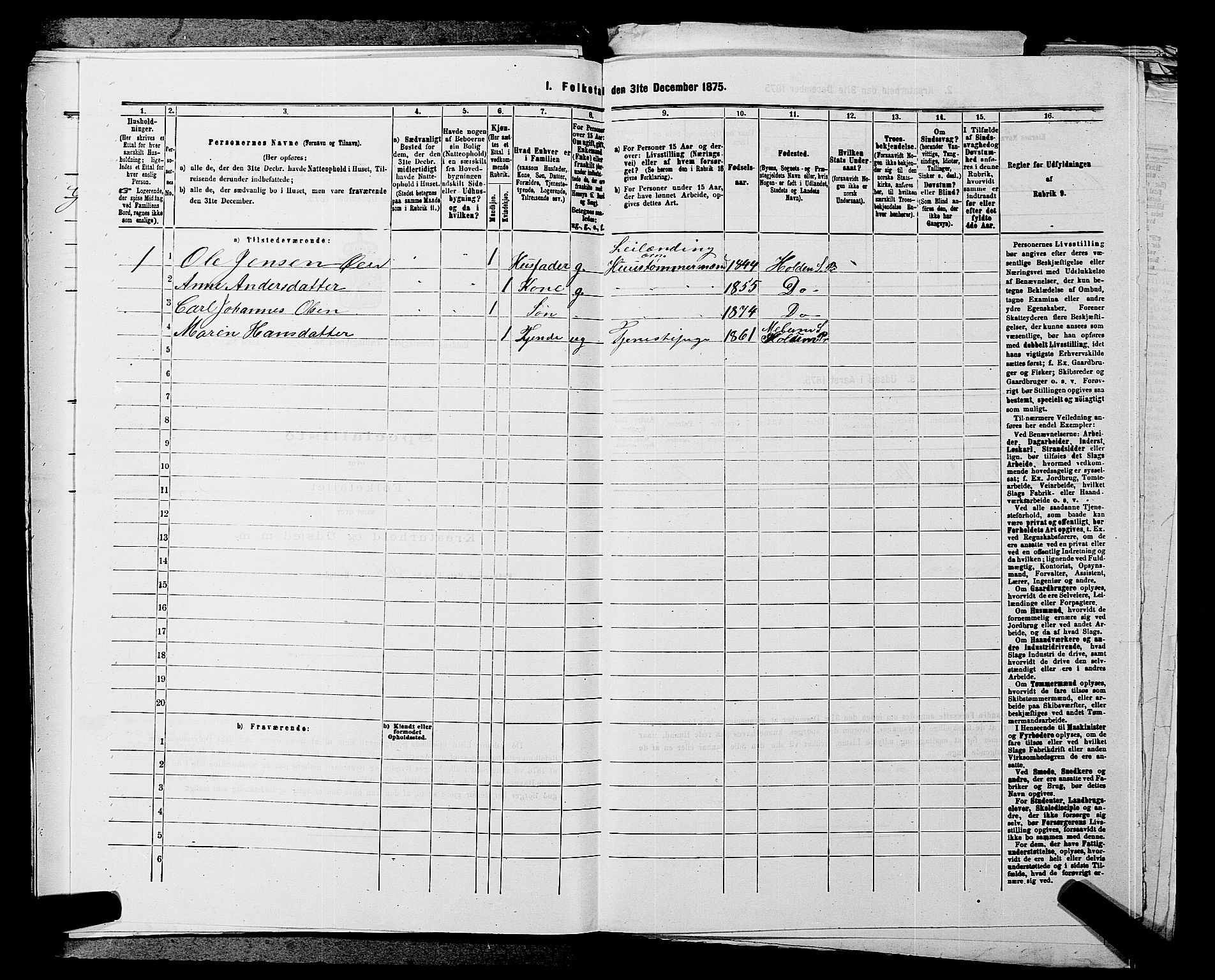 SAKO, 1875 census for 0819P Holla, 1875, p. 273